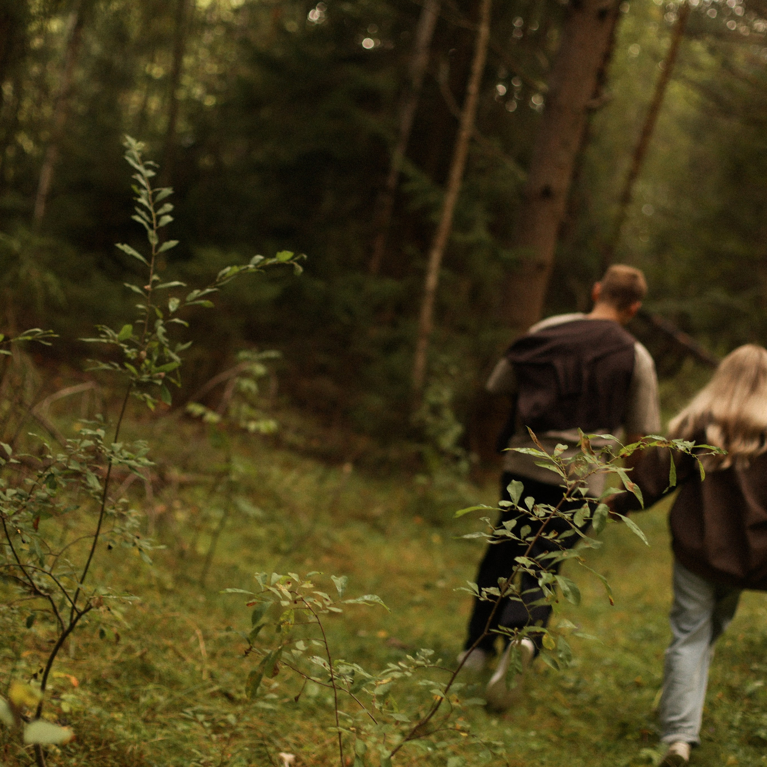 Влюбленность