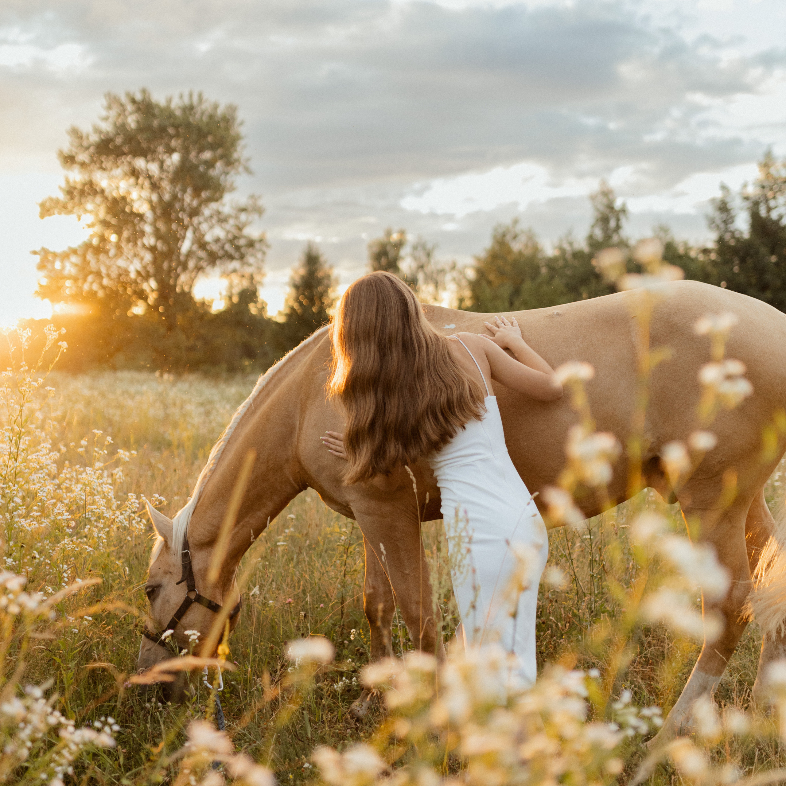История с лошадью