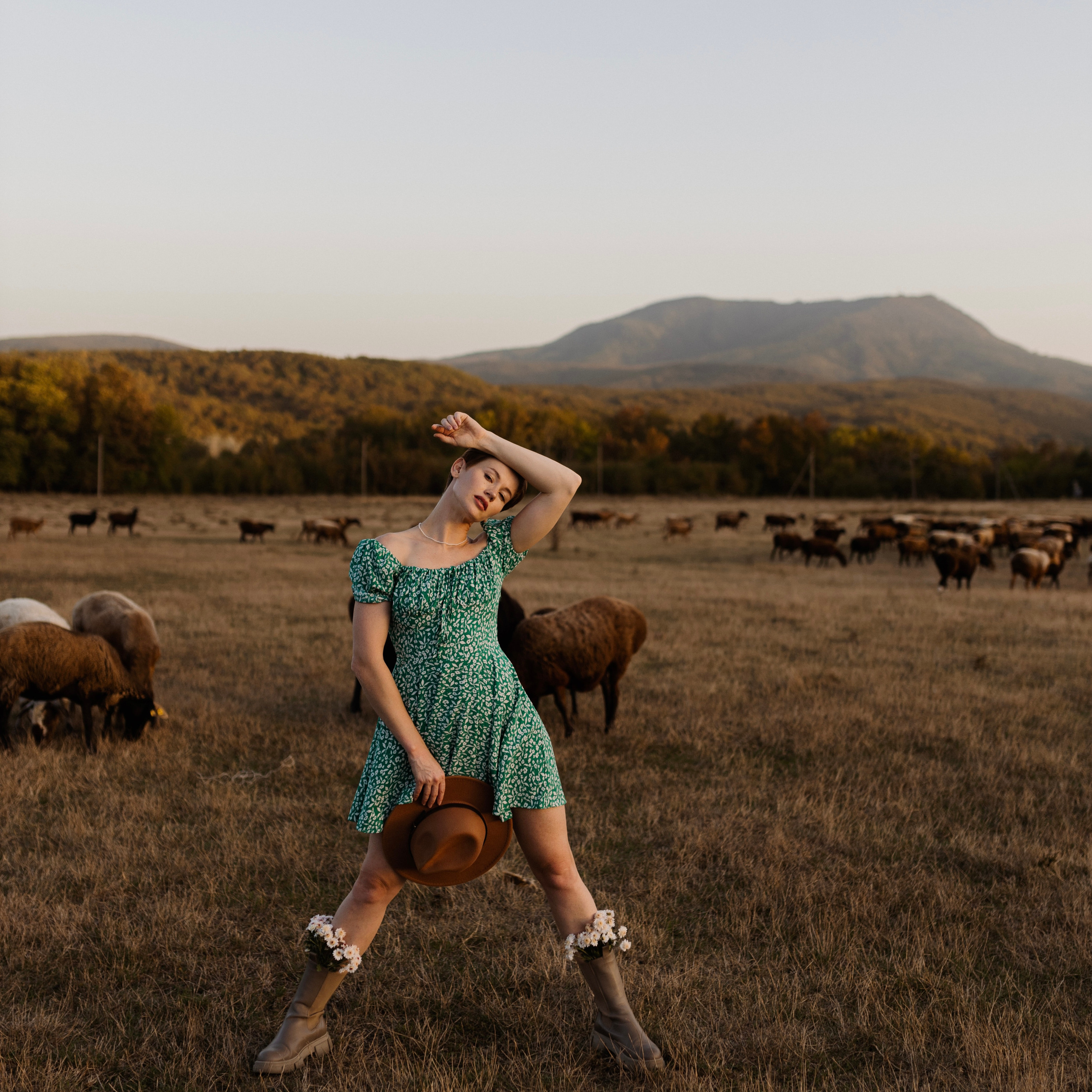 Лошадиная ферма