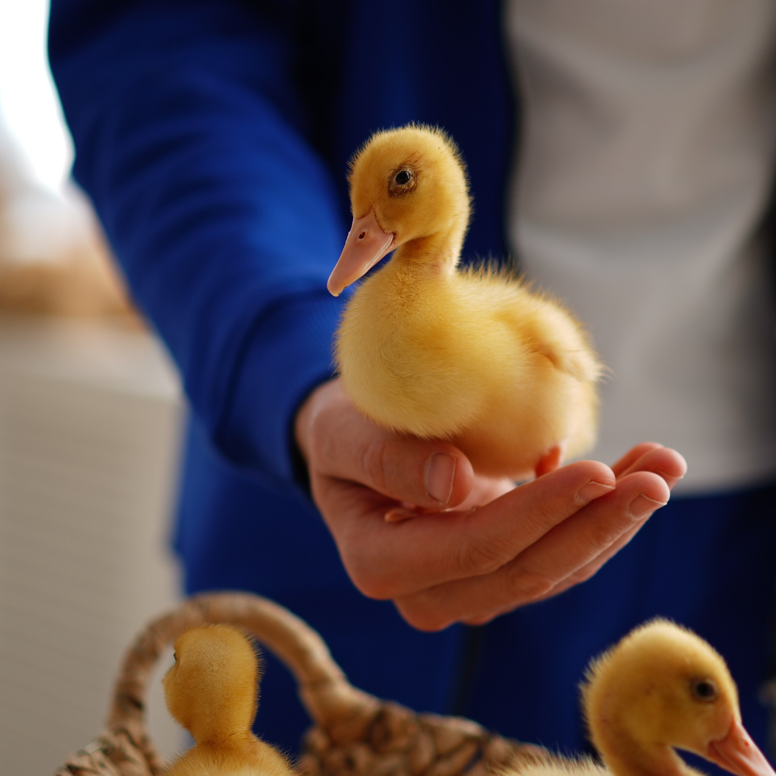 Семейная фотосессия на Пасху