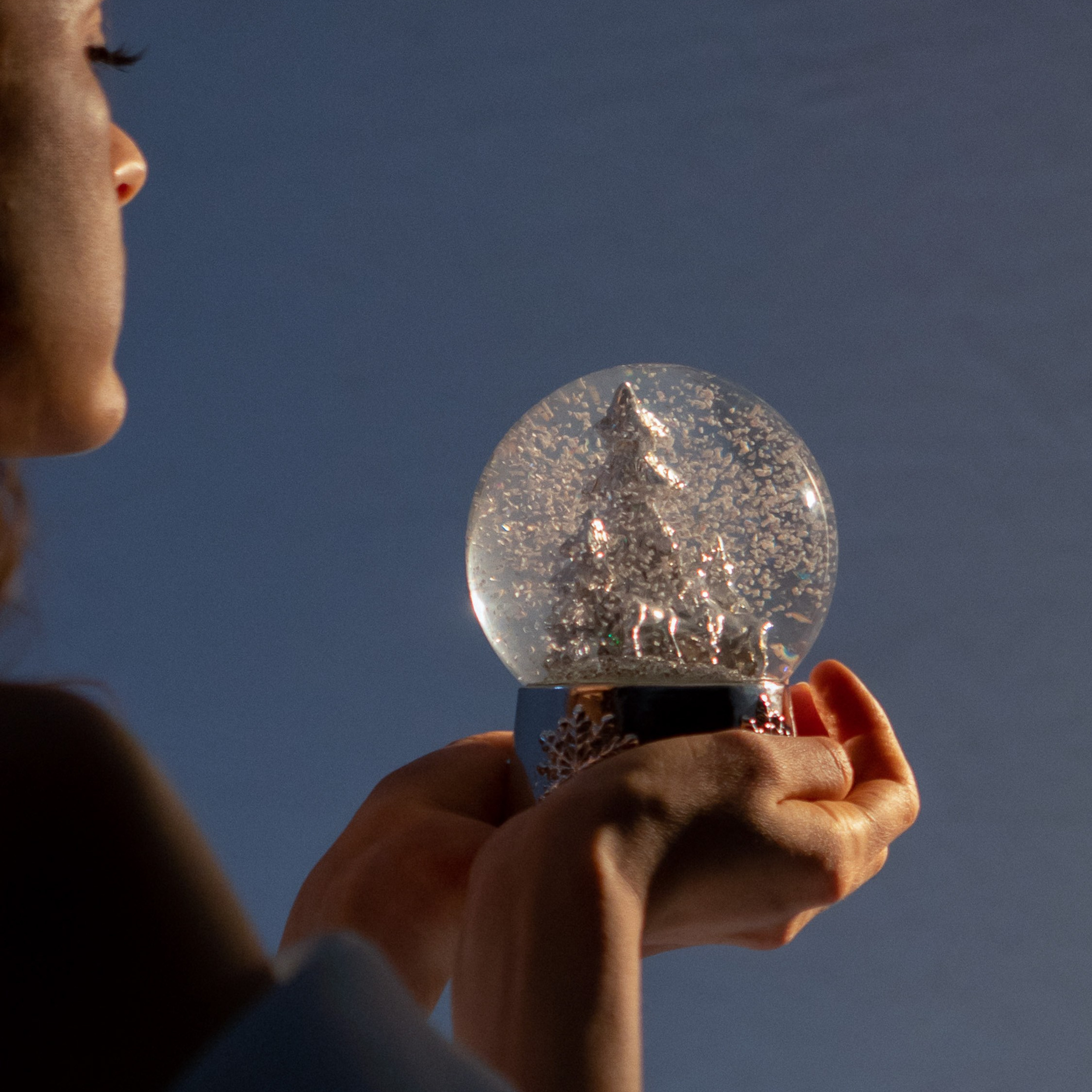 Новогодняя сказка. Фотограф в Тюмени Вера Ильинова