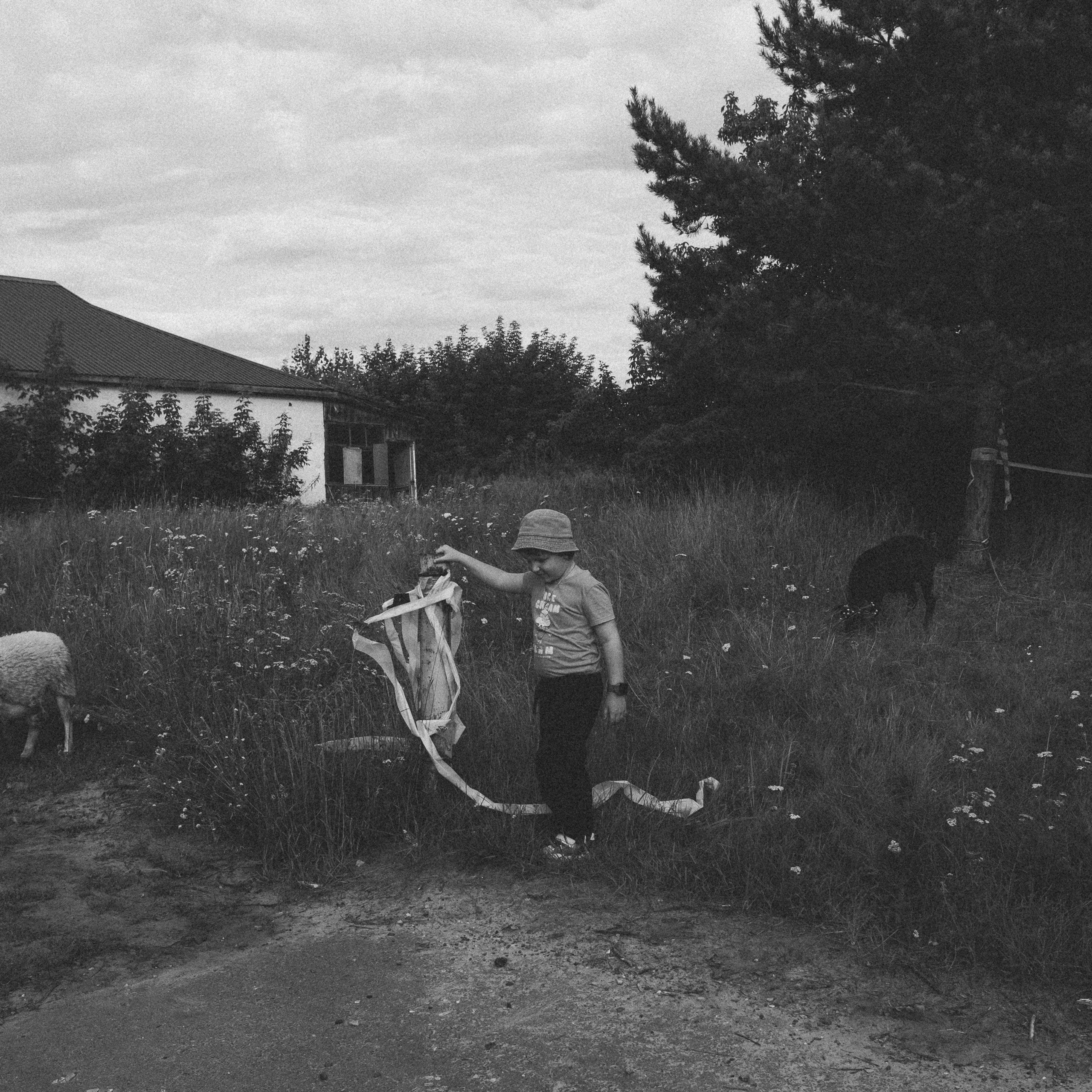 Летняя история. Фотограф в Тюмени Вера Ильинова