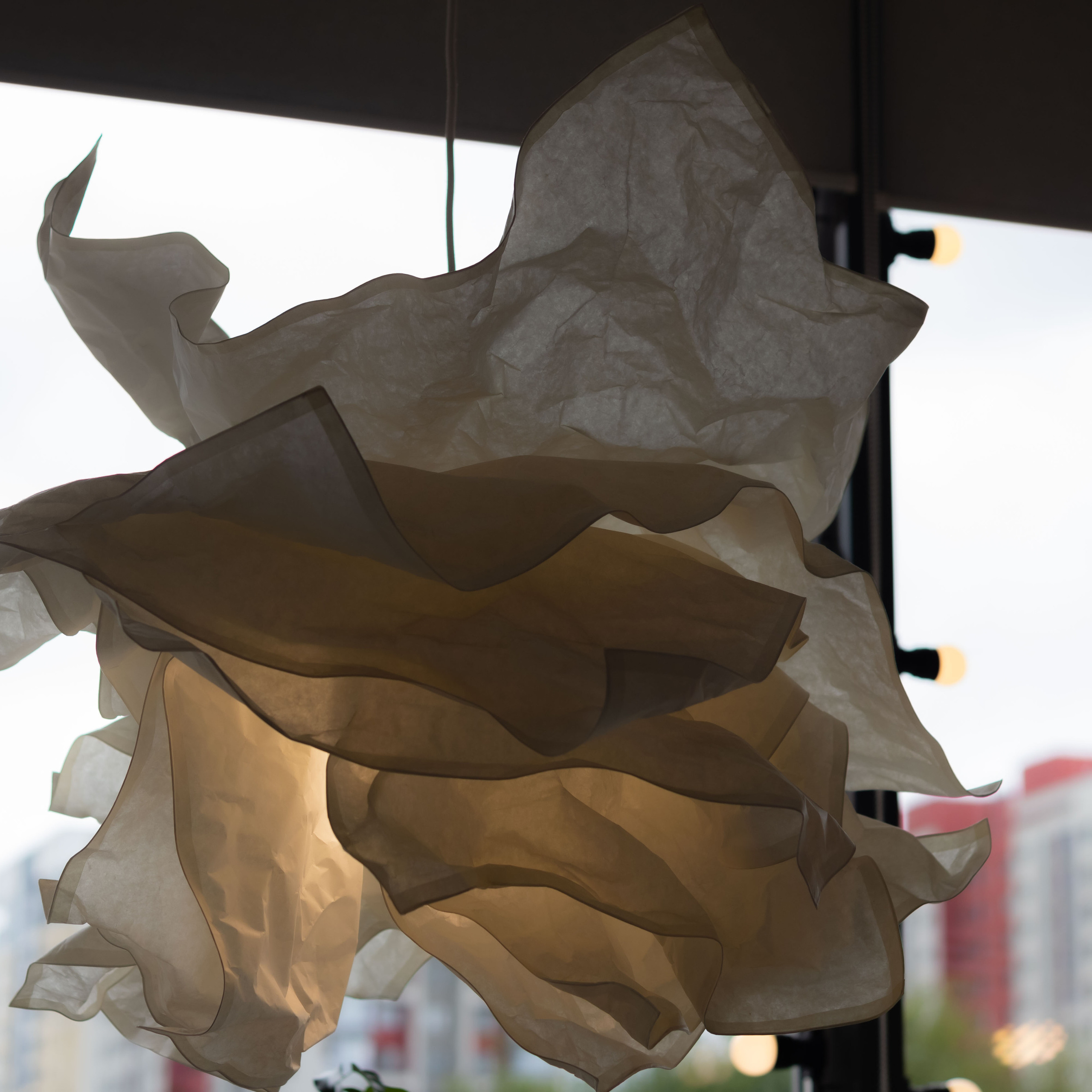 В кафе. Фотограф в Тюмени Вера Ильинова