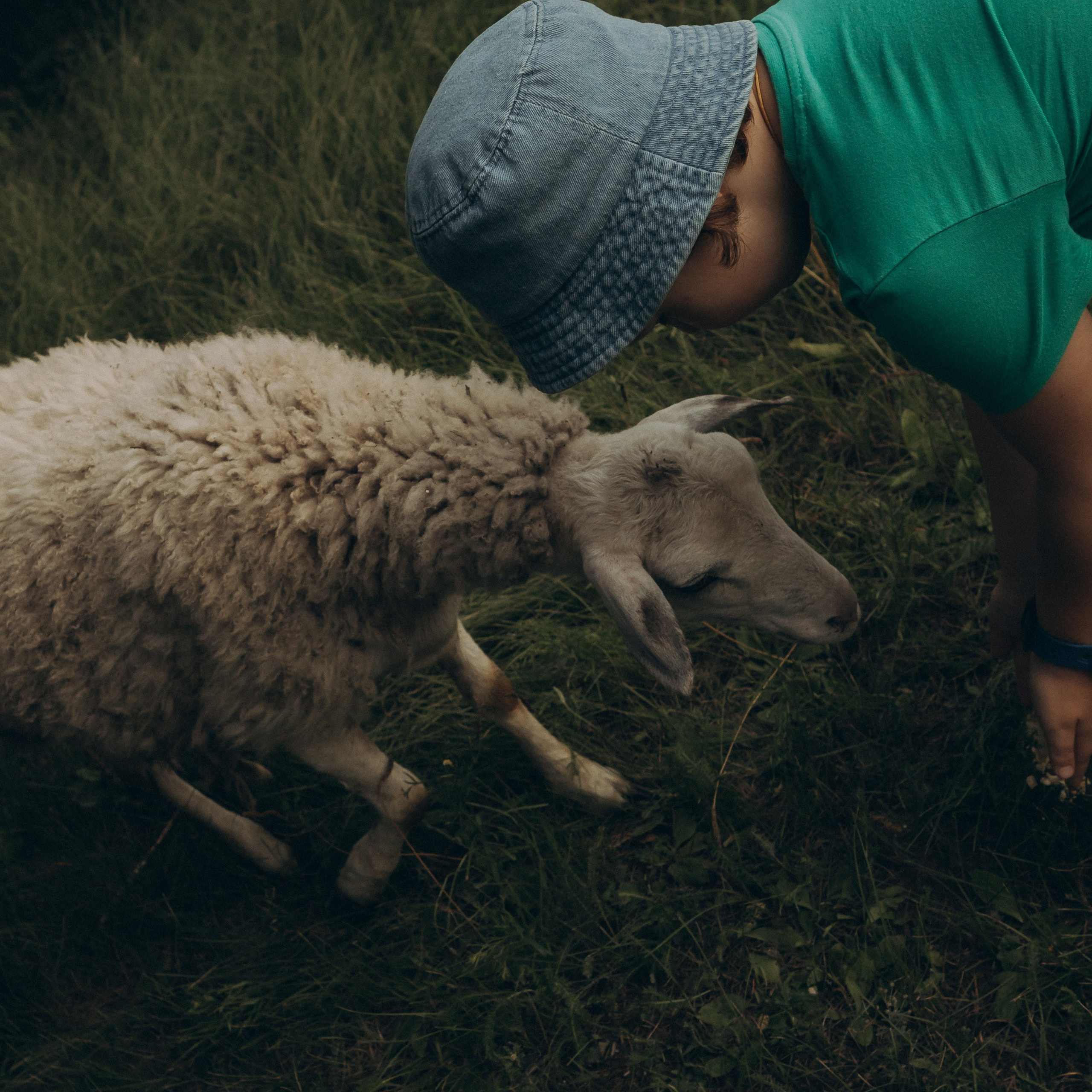 Летняя история. Фотограф в Тюмени Вера Ильинова
