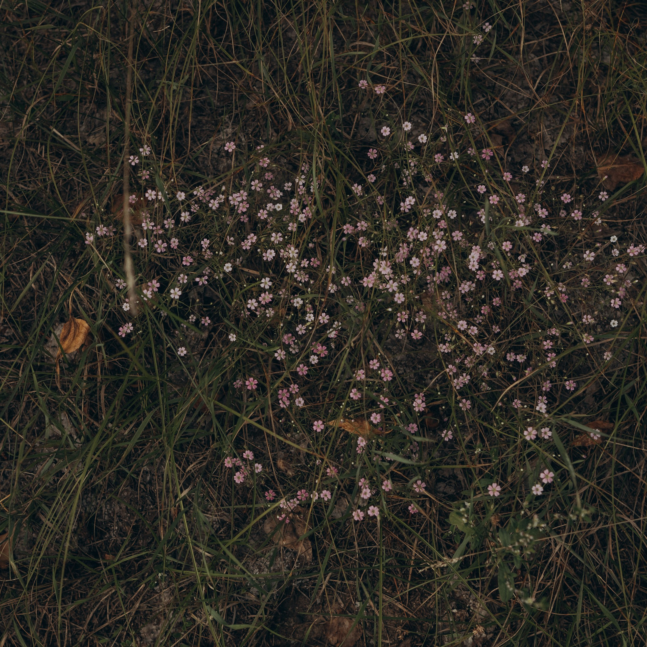 Летняя история. Фотограф в Тюмени Вера Ильинова