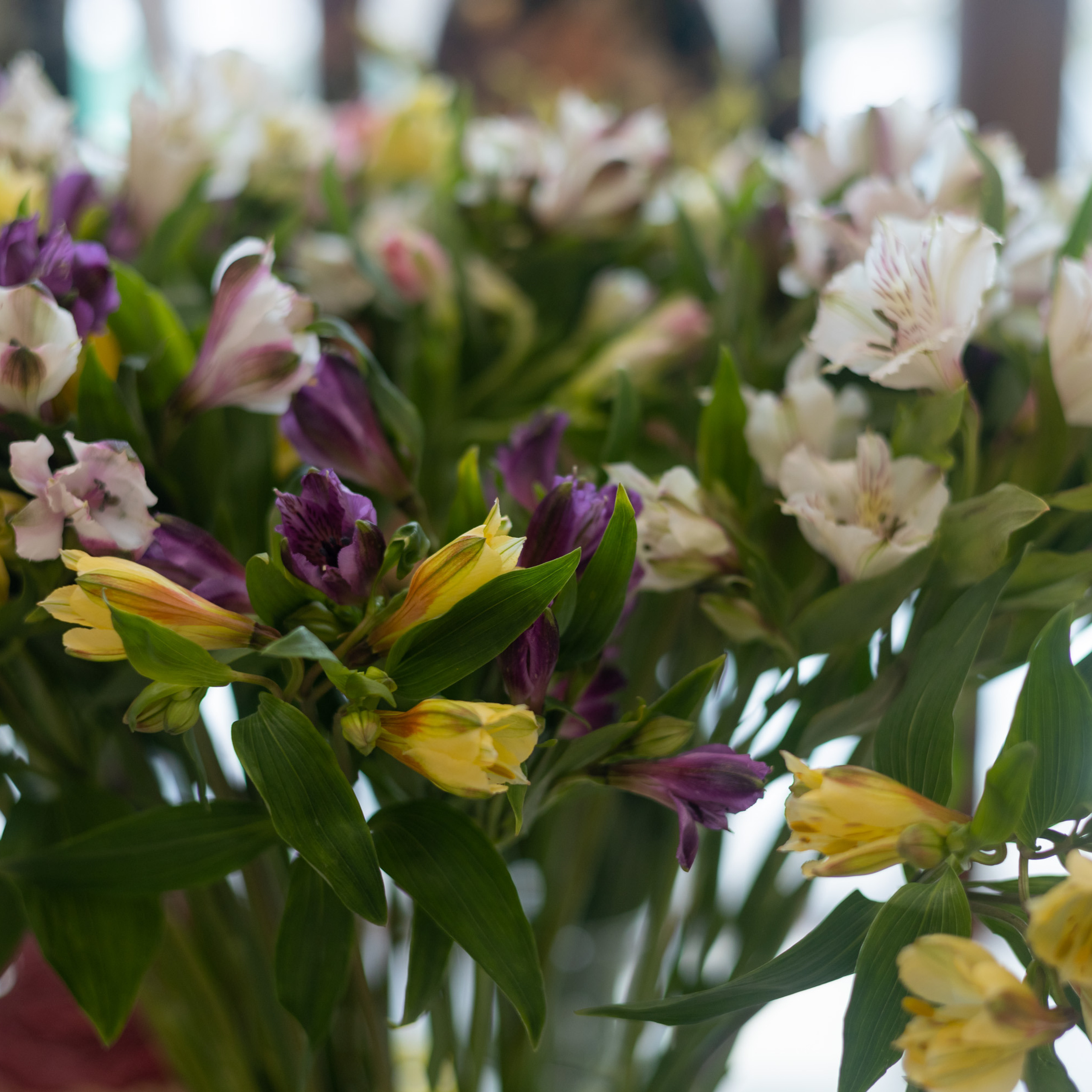 Репортажная съемка. Фотограф в Тюмени Вера Ильинова