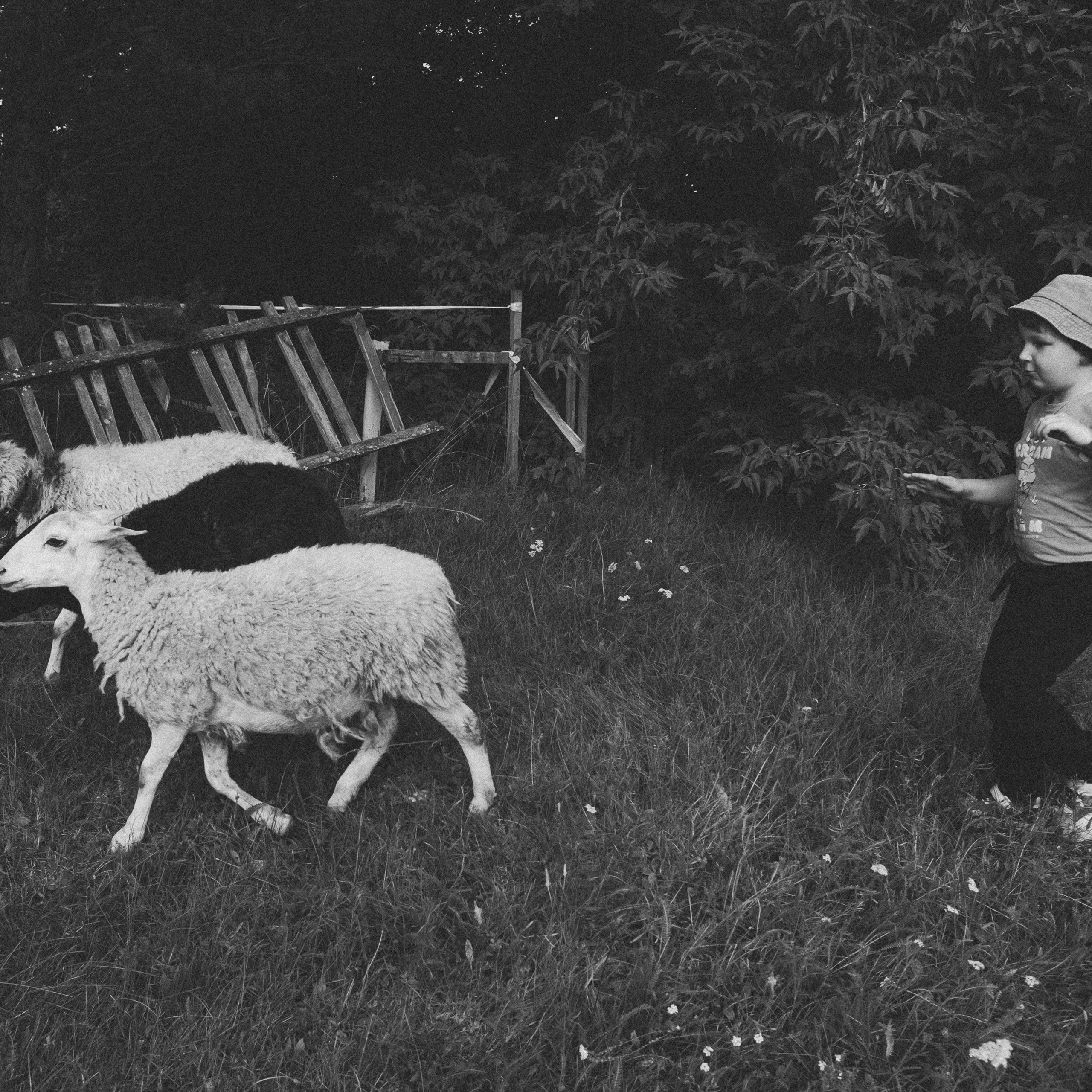 Летняя история. Фотограф в Тюмени Вера Ильинова