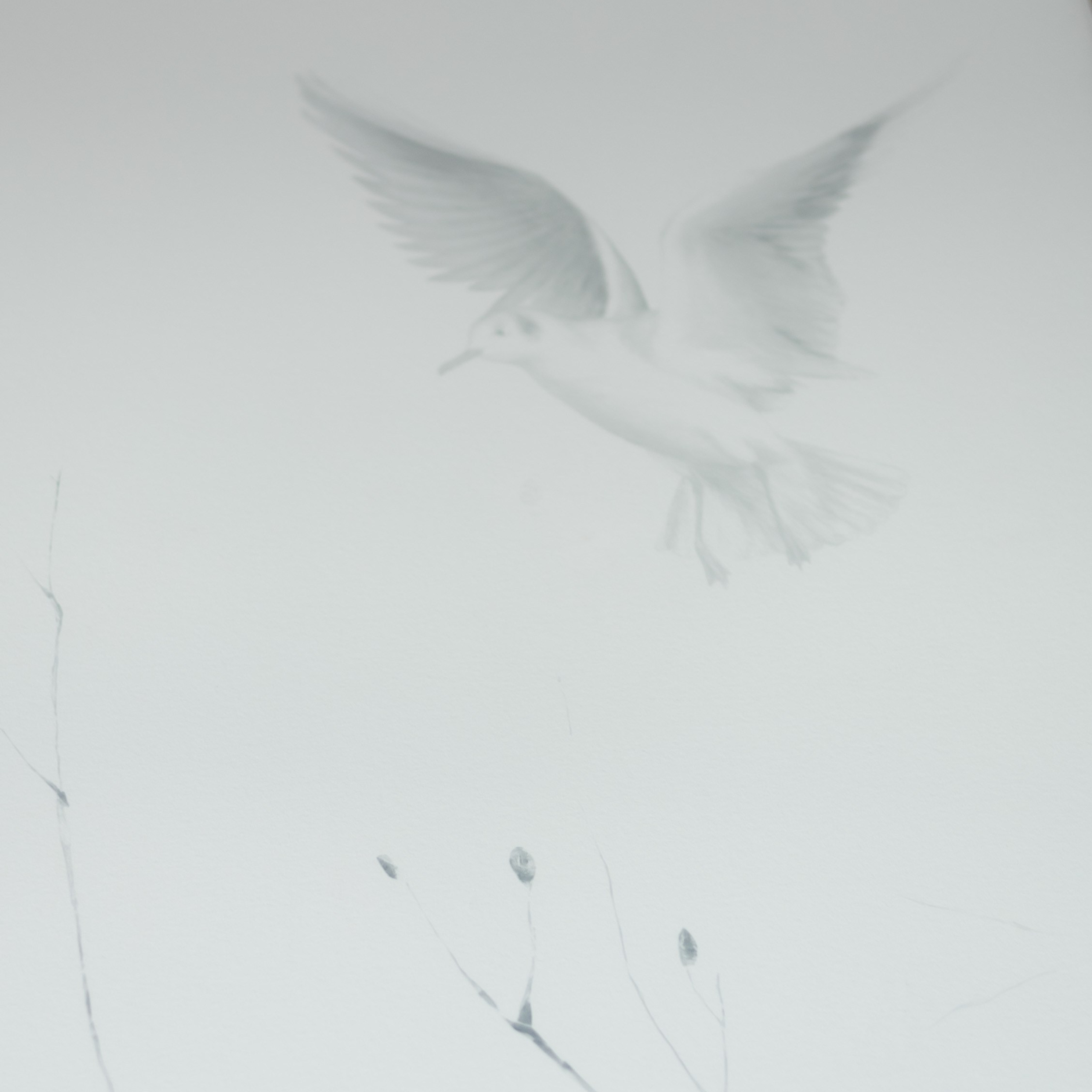 Репортажная съемка. Фотограф в Тюмени Вера Ильинова