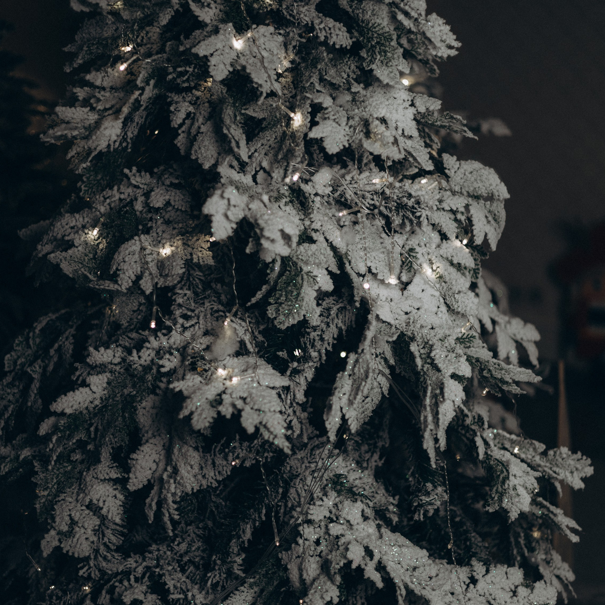 Отзывы. Фотограф в Тюмени Вера Ильинова