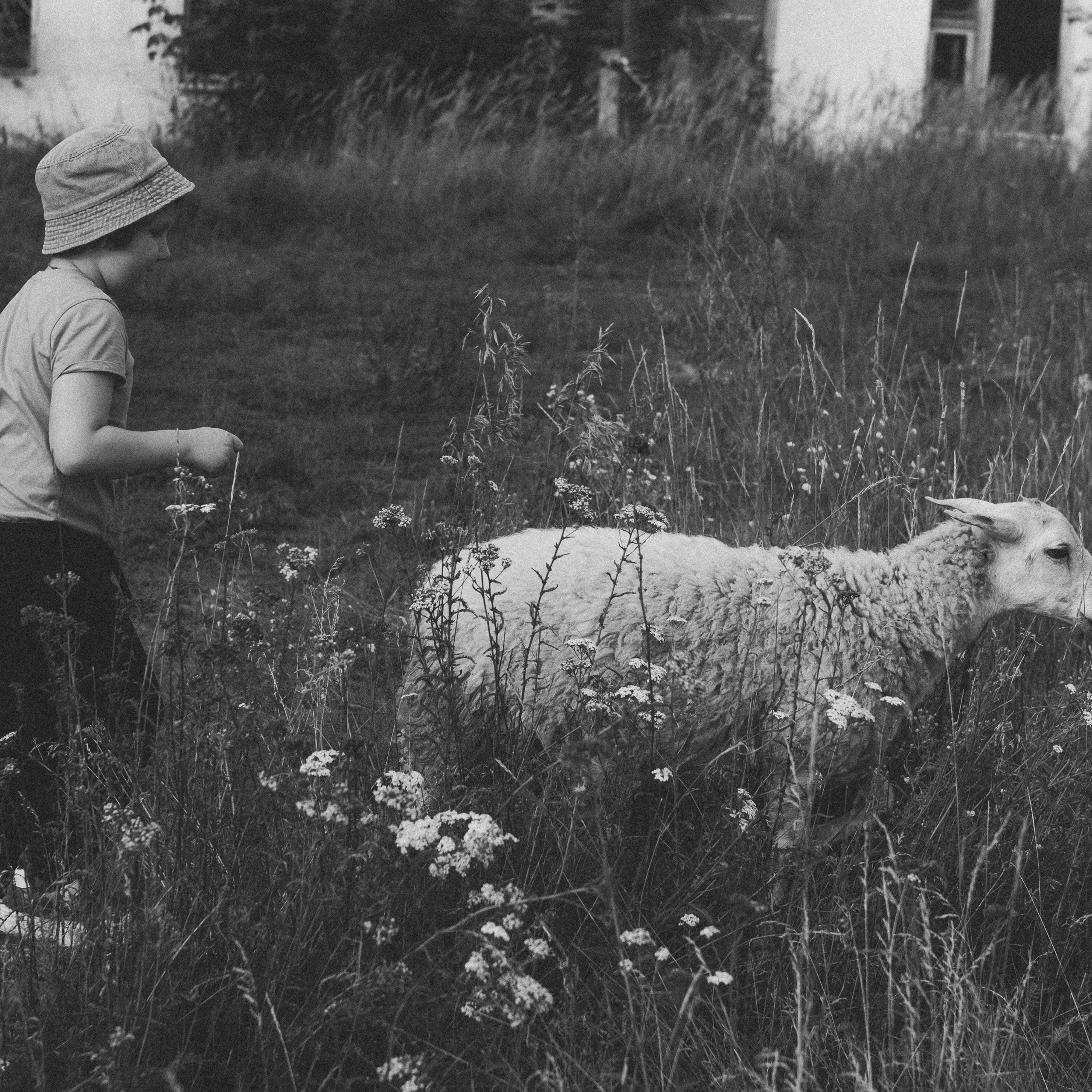 Летняя история. Фотограф в Тюмени Вера Ильинова