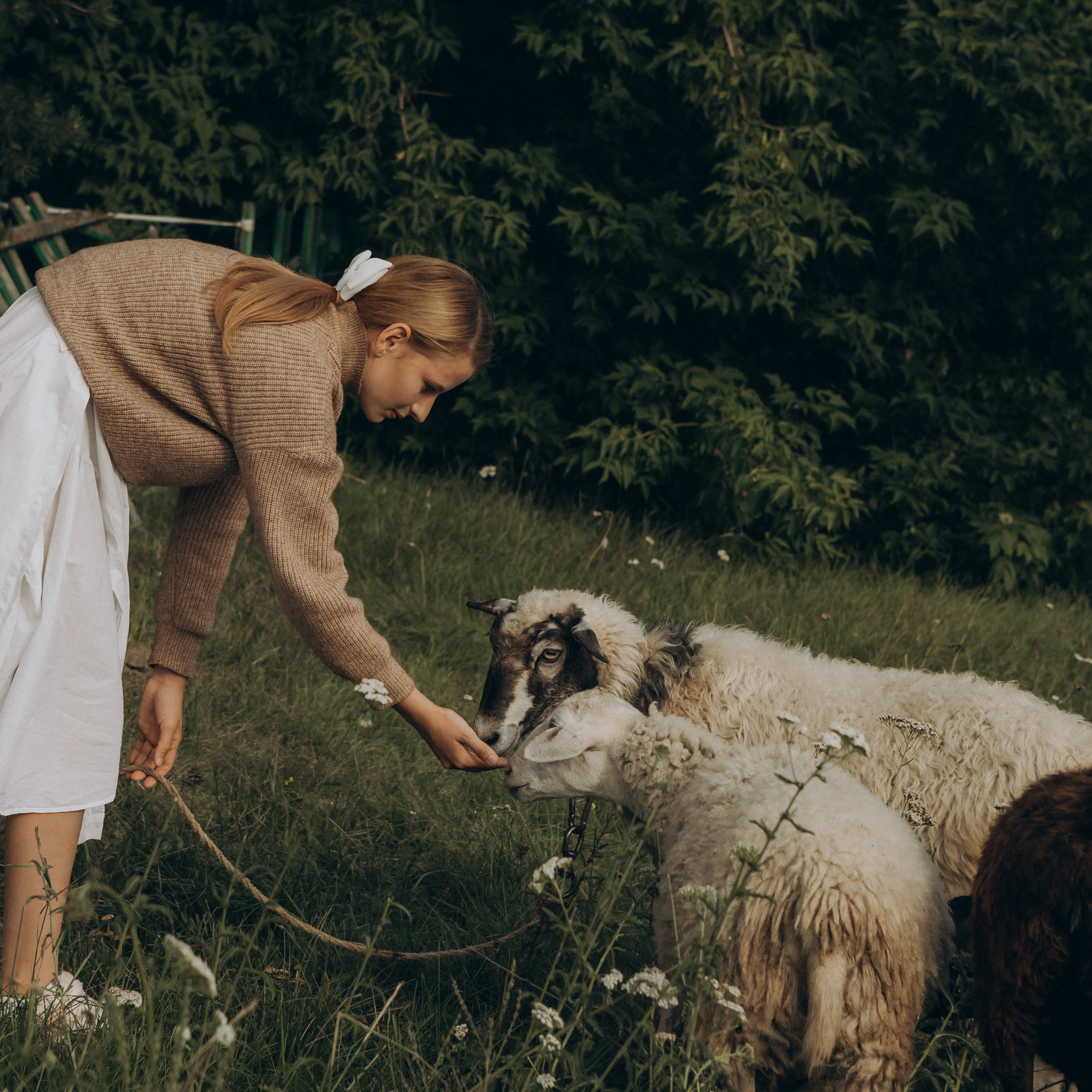 Летняя история. Фотограф в Тюмени Вера Ильинова