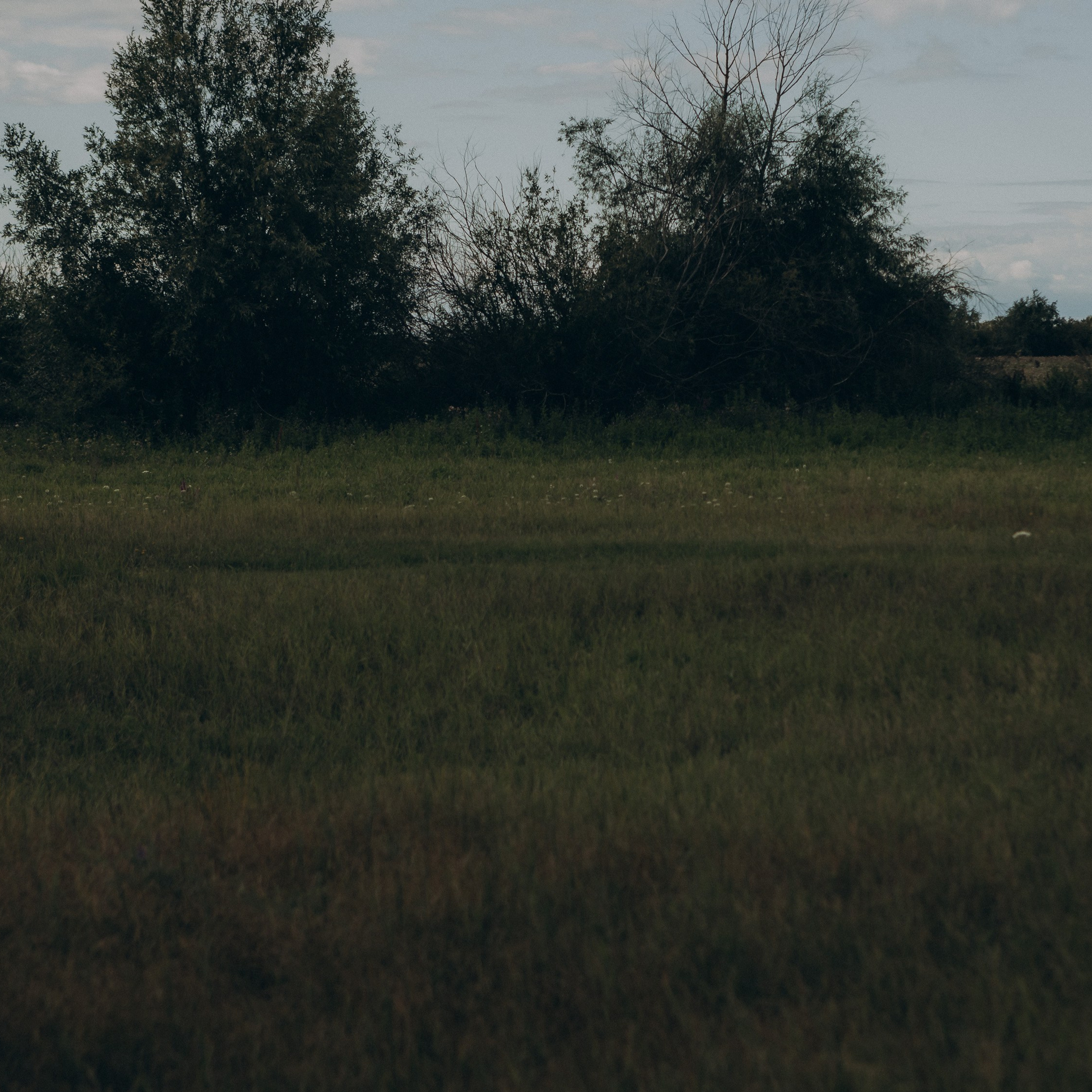 Летняя история. Фотограф в Тюмени Вера Ильинова