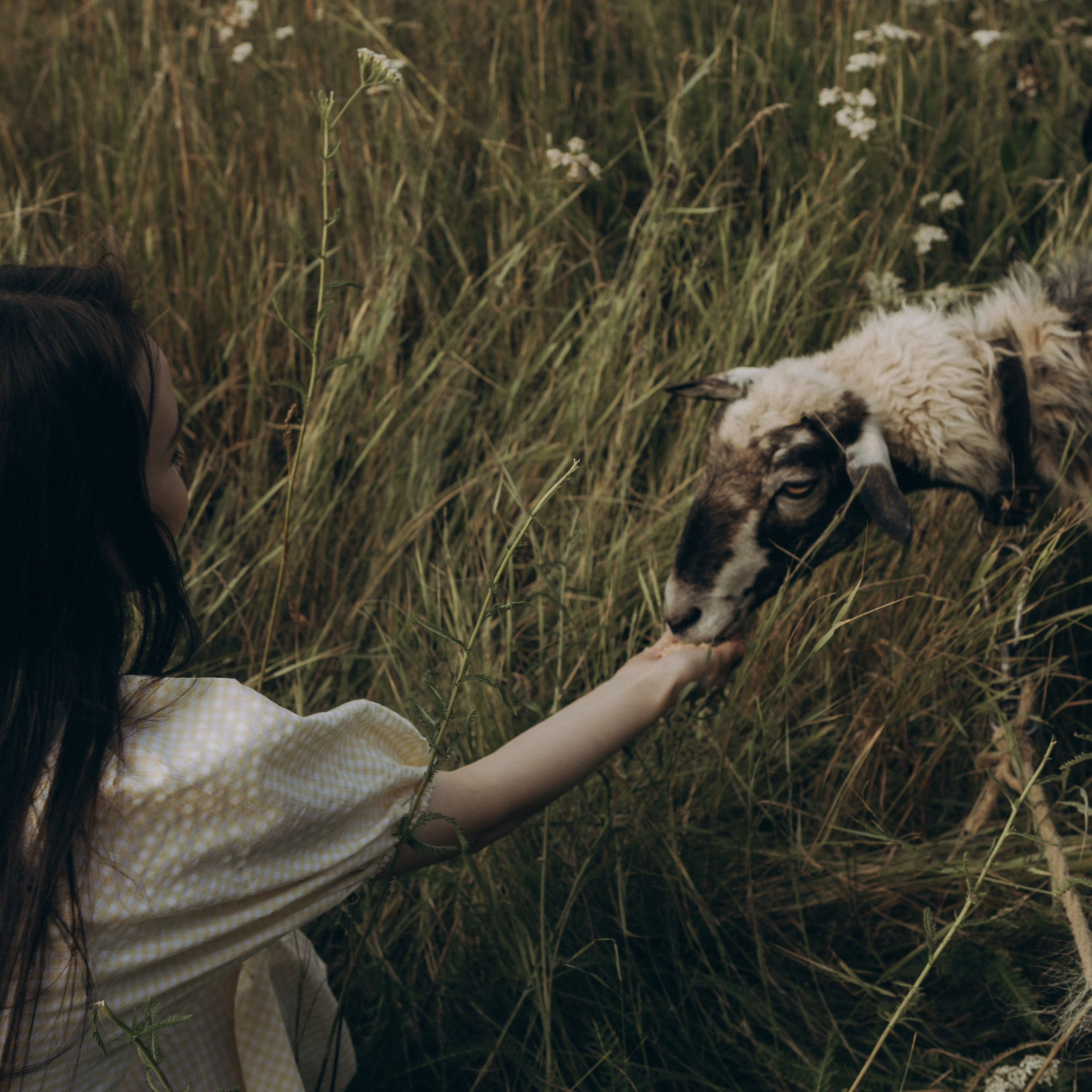 Летняя история. Фотограф в Тюмени Вера Ильинова