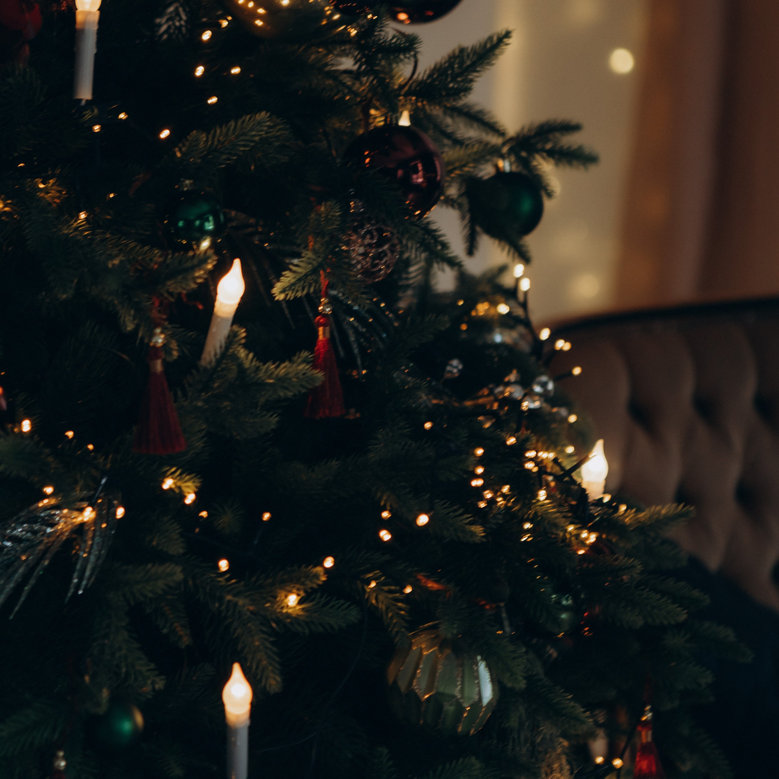 Фотопроект в стиле Ренаты. Фотограф в Тюмени Вера Ильинова