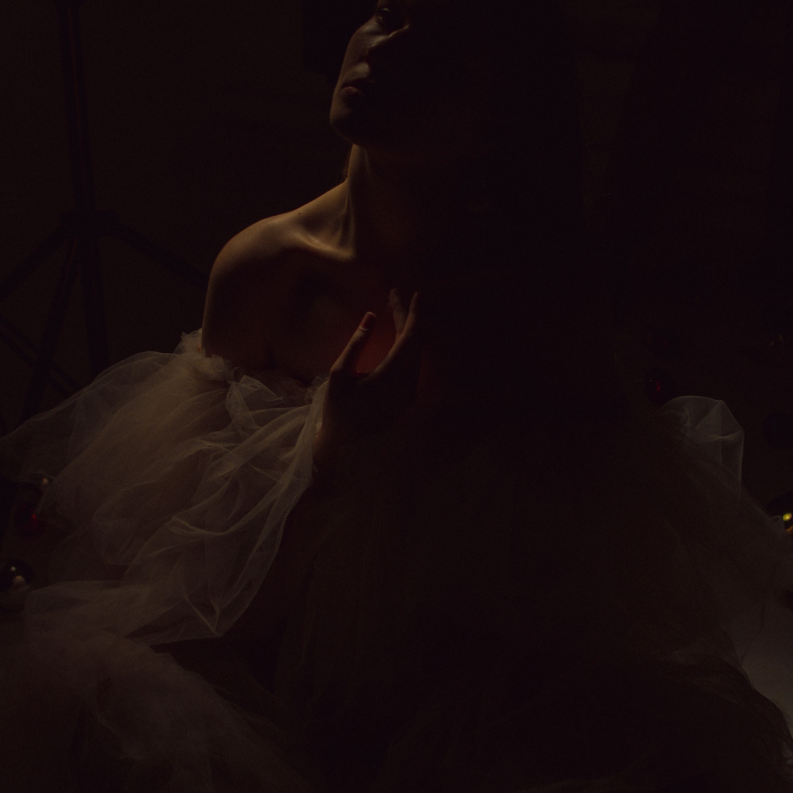 Неклассический новый год. Фотограф в Тюмени Вера Ильинова