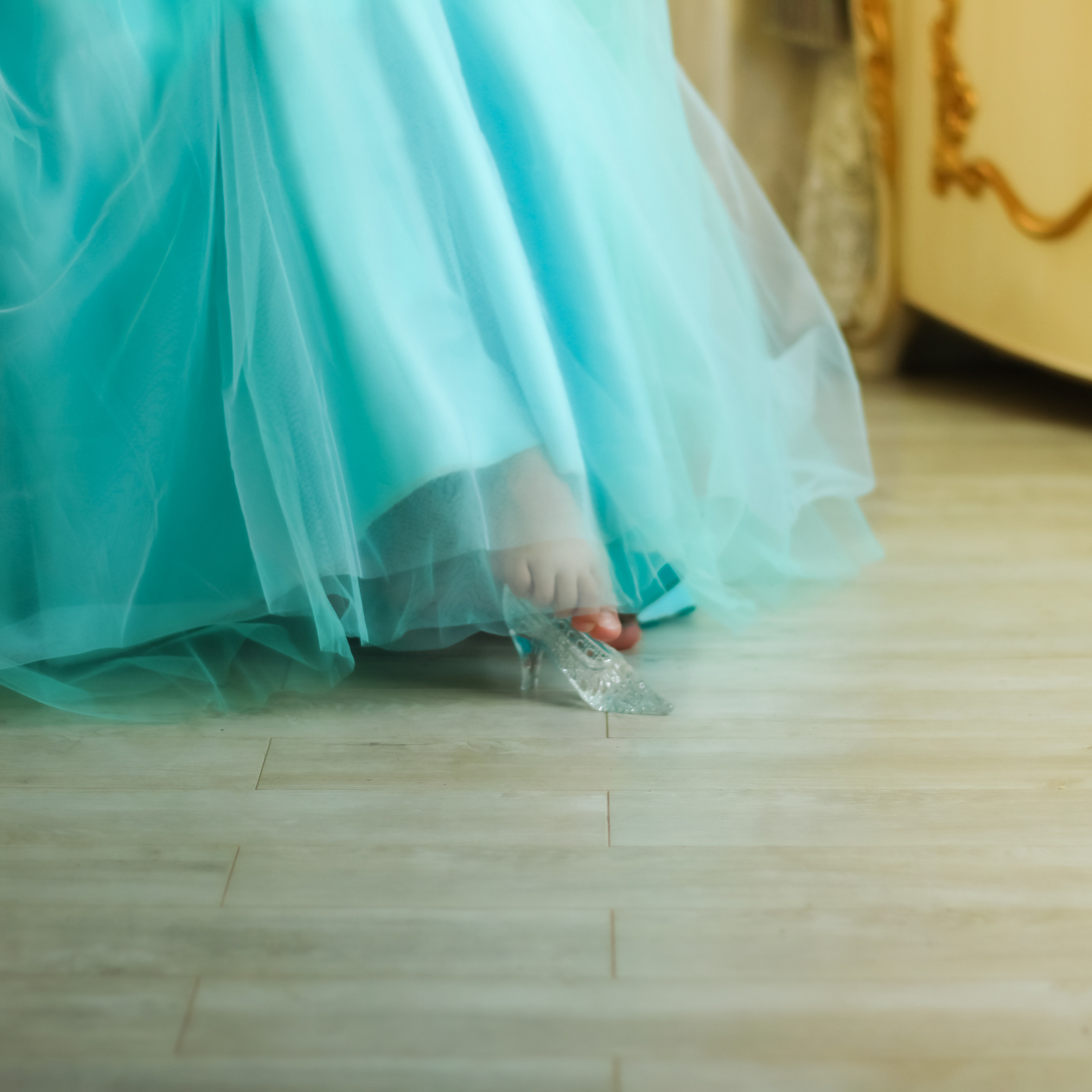 Золушка. Фотограф в Тюмени Вера Ильинова