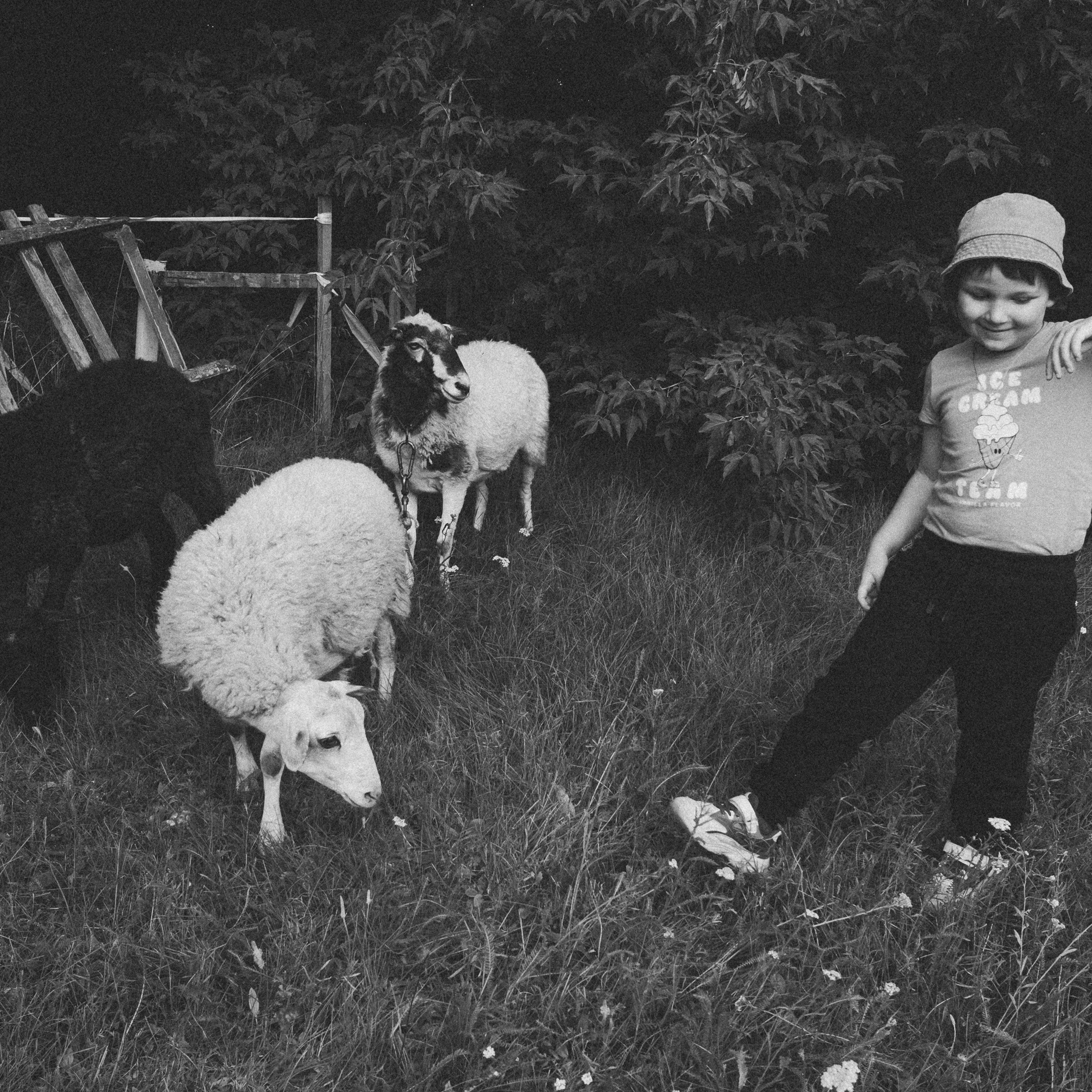 Летняя история. Фотограф в Тюмени Вера Ильинова