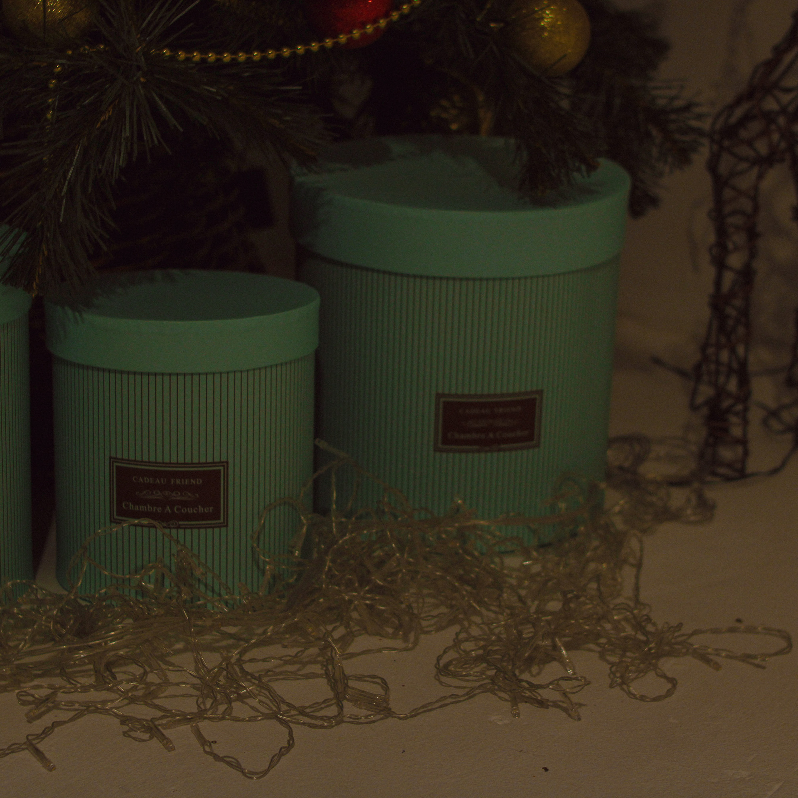 Неклассический новый год. Фотограф в Тюмени Вера Ильинова