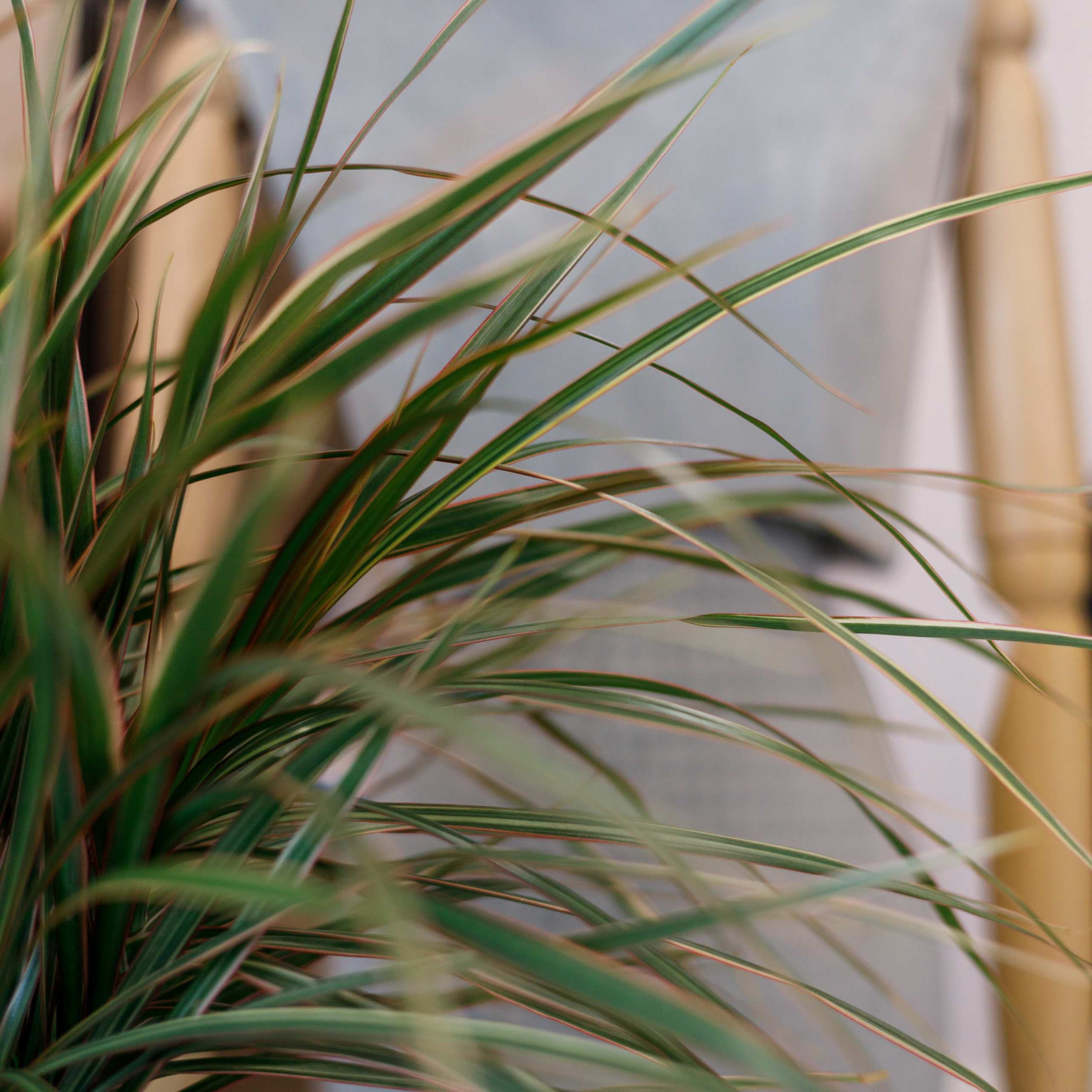 Репортажная съемка. Фотограф в Тюмени Вера Ильинова