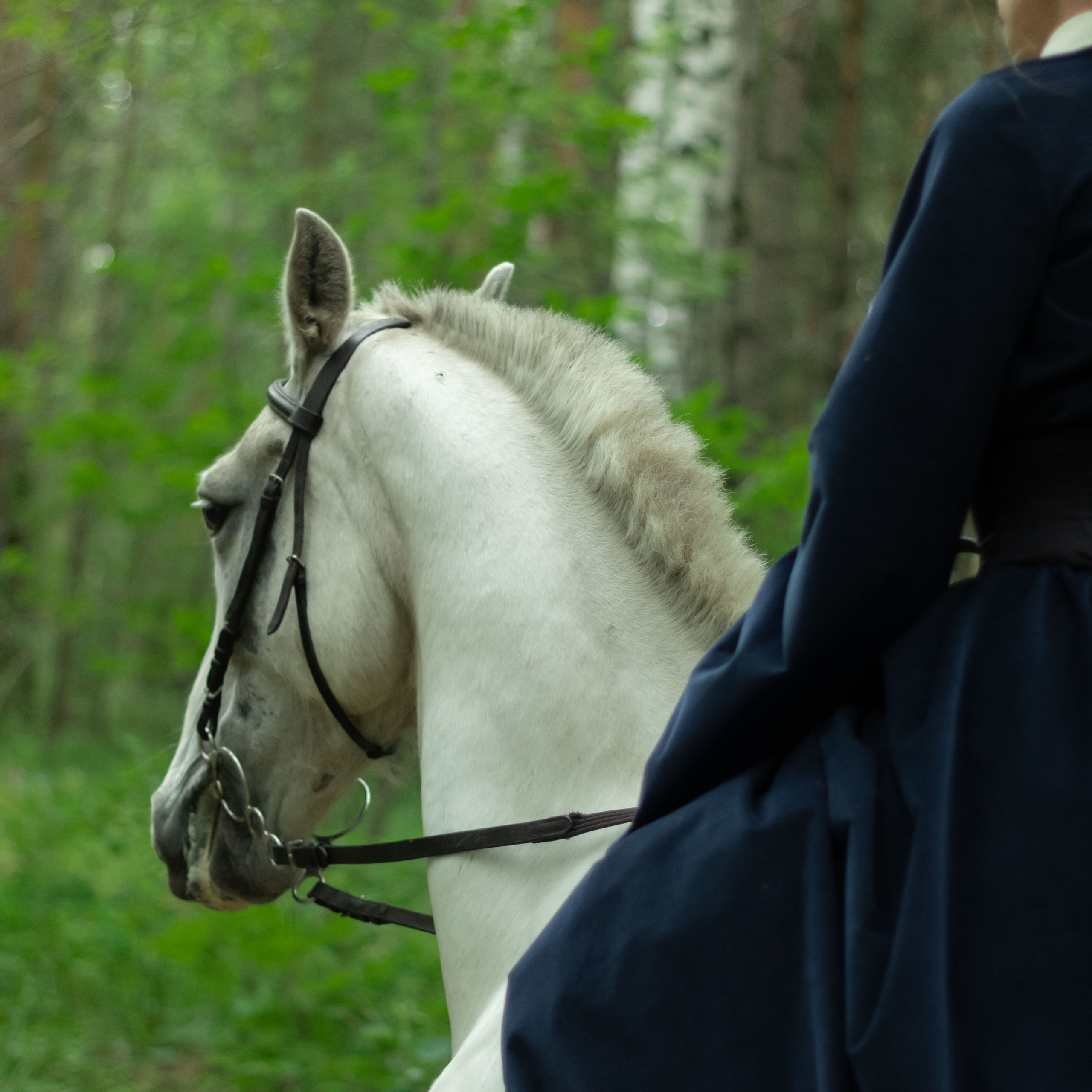 Прогулка на лошади. Фотограф в Тюмени Вера Ильинова