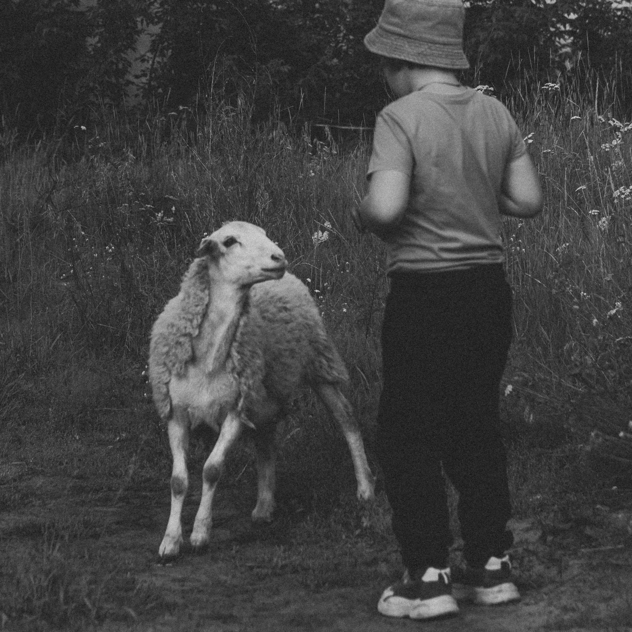 Летняя история. Фотограф в Тюмени Вера Ильинова