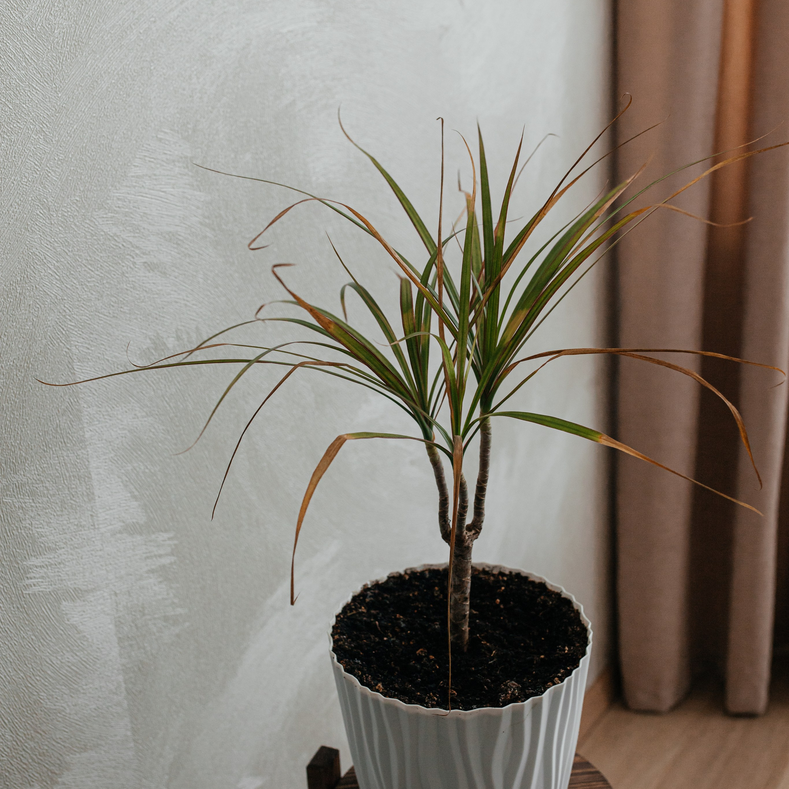 Отзывы. Семейный и домашний фотограф в Москве и МО Королева Валерия