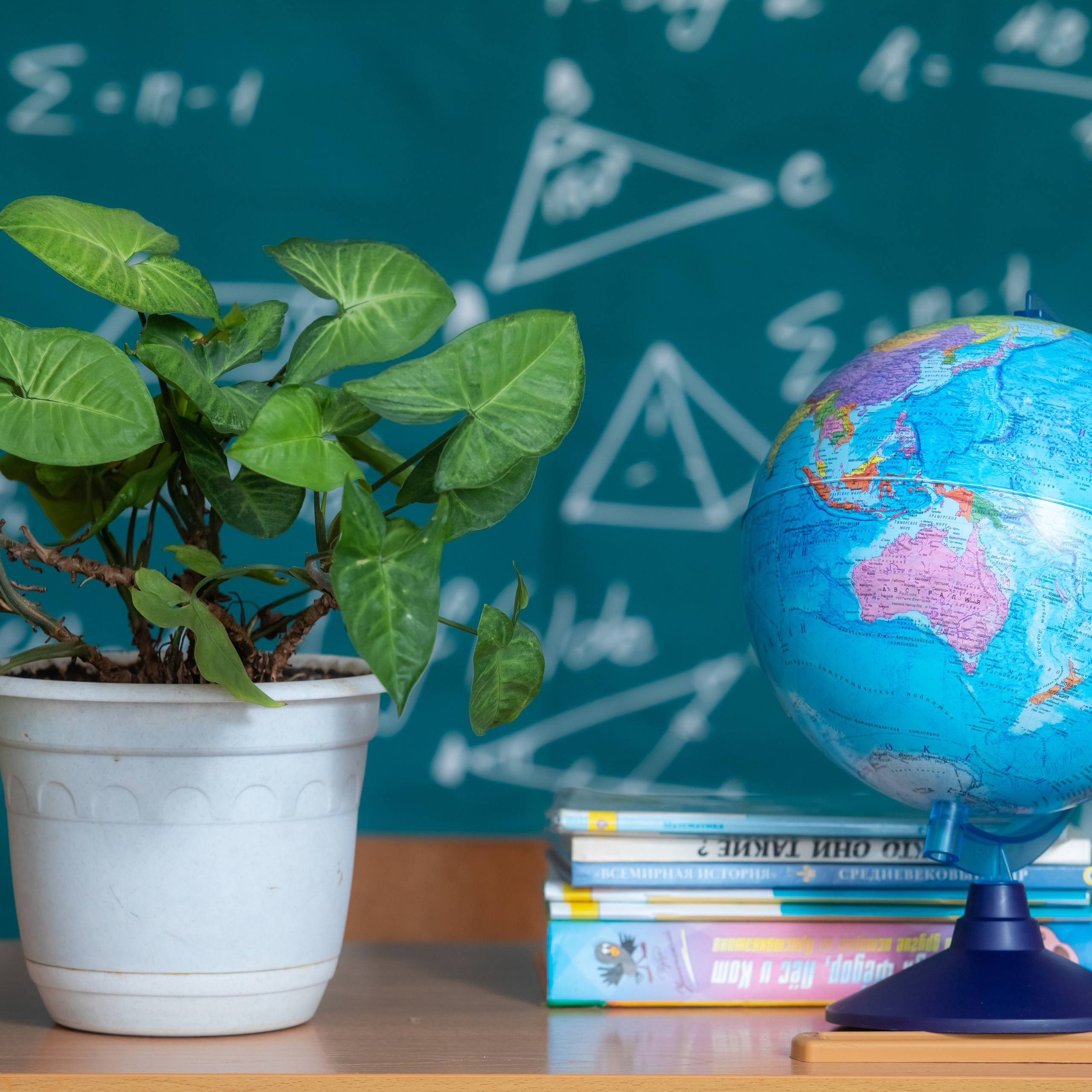 Отзывы. Детский фотограф в Барнауле Ирина Шевчук