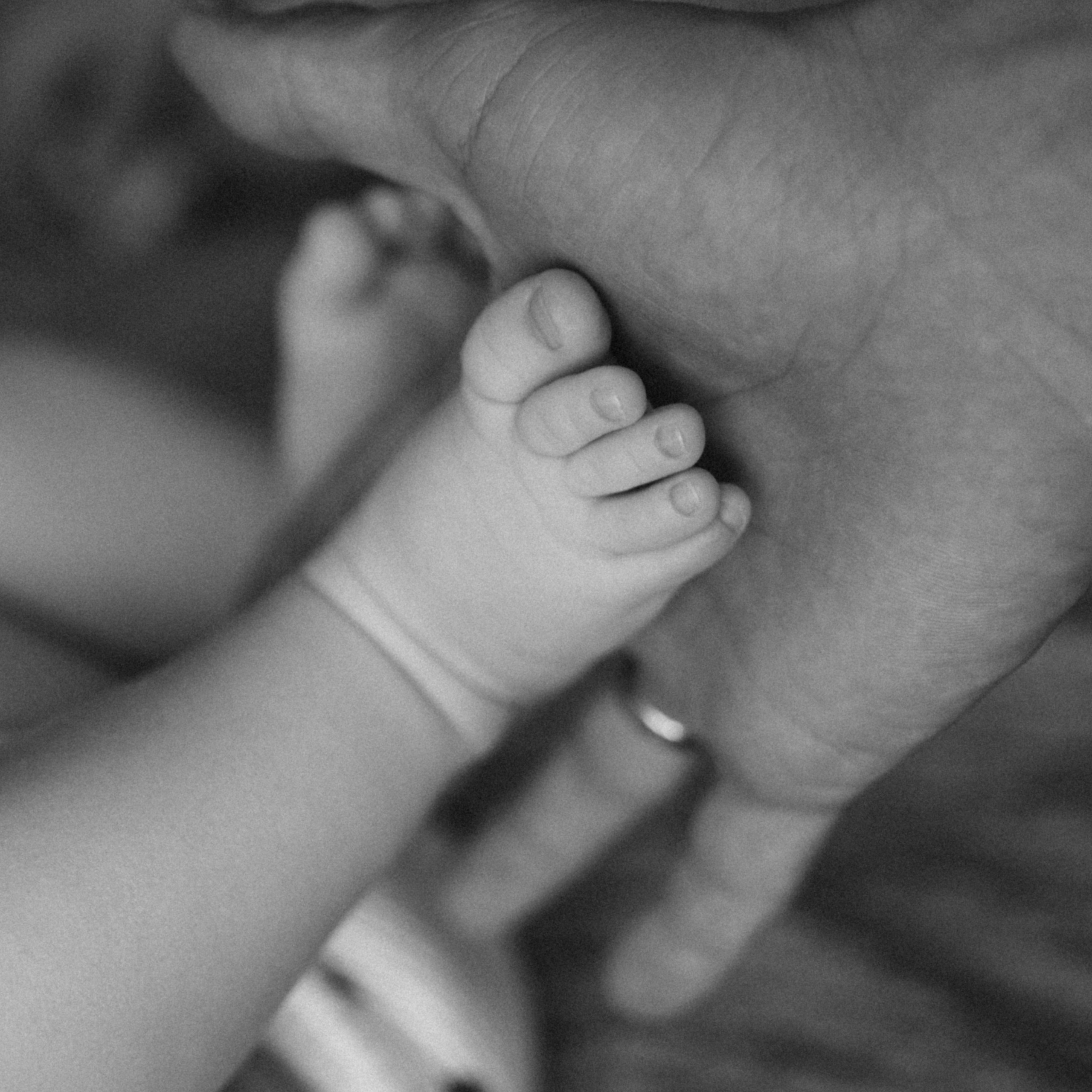 Младенцы (домашние фотосессии). Фотограф Краснодар