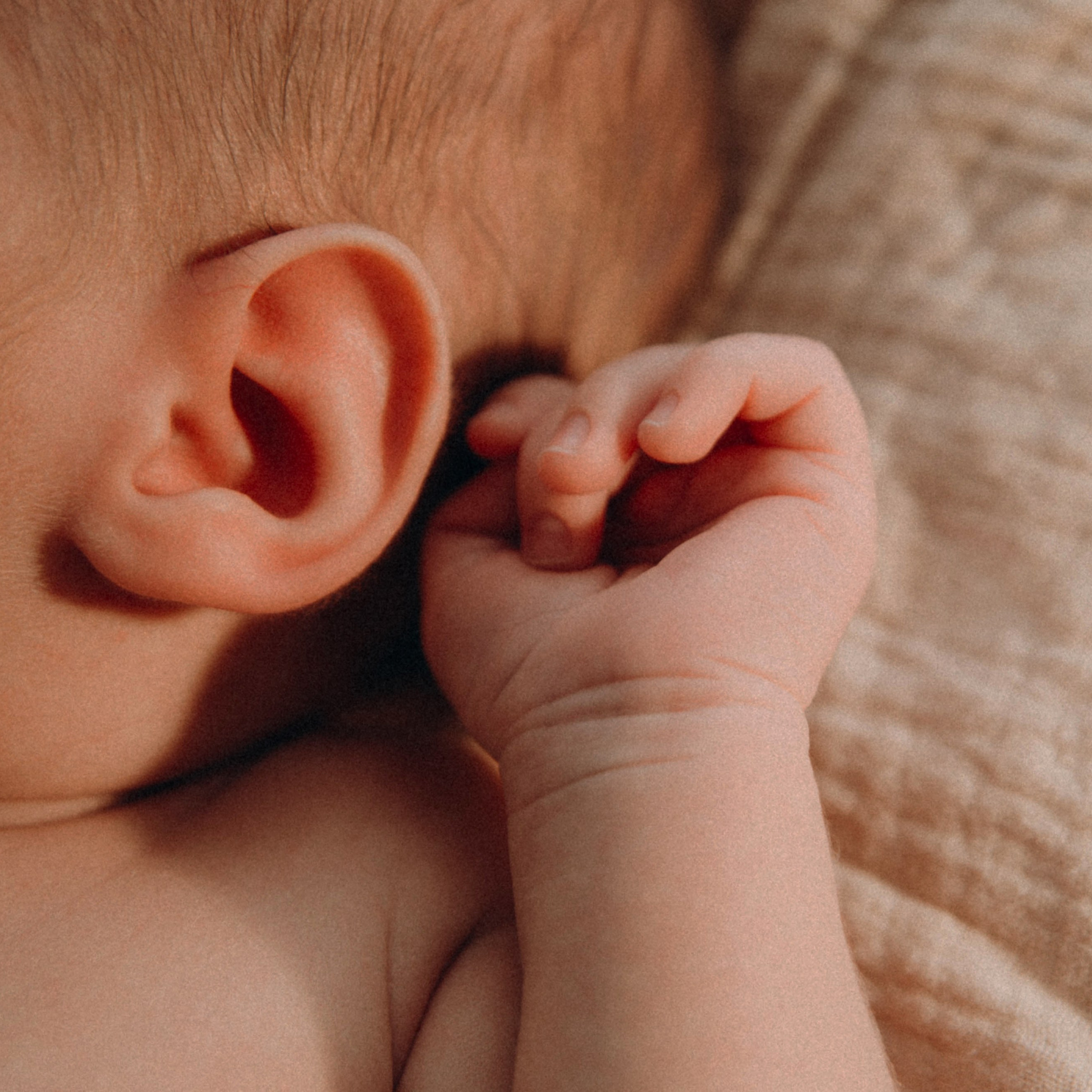 Младенцы (домашние фотосессии). Фотограф Краснодар