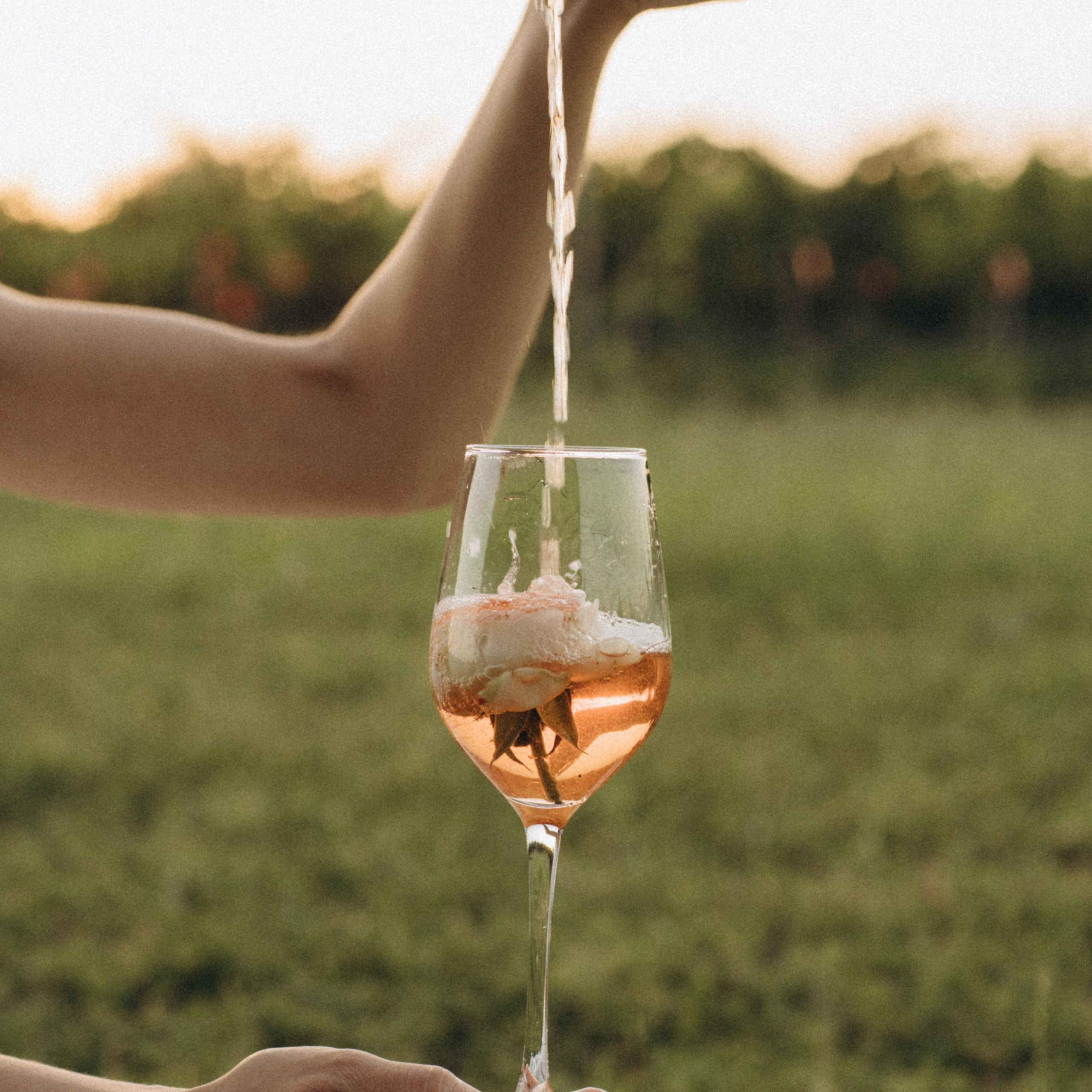 Индивидуальные фотосессии. Фотограф Краснодар