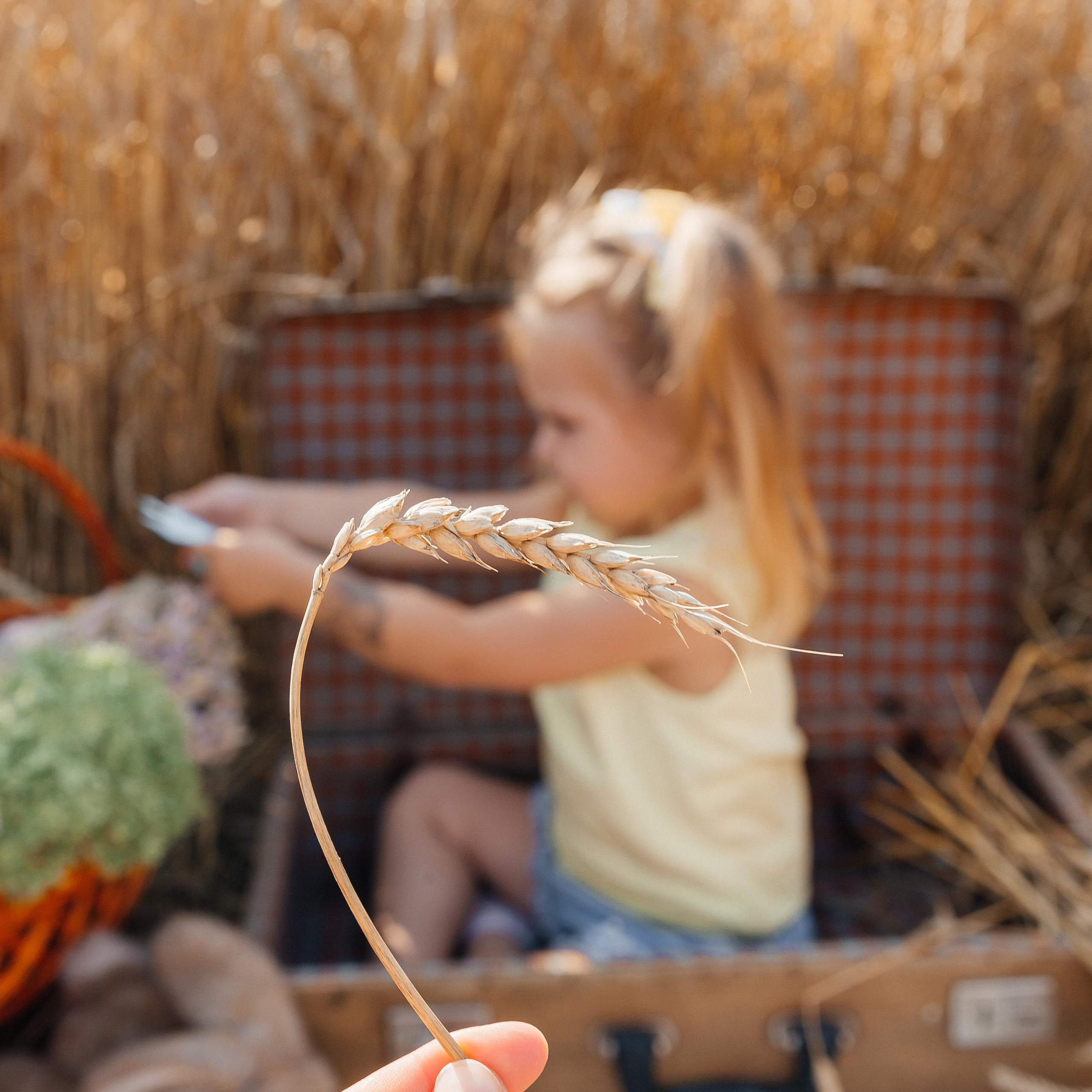 Вера и Максим. Фотограф Краснодар