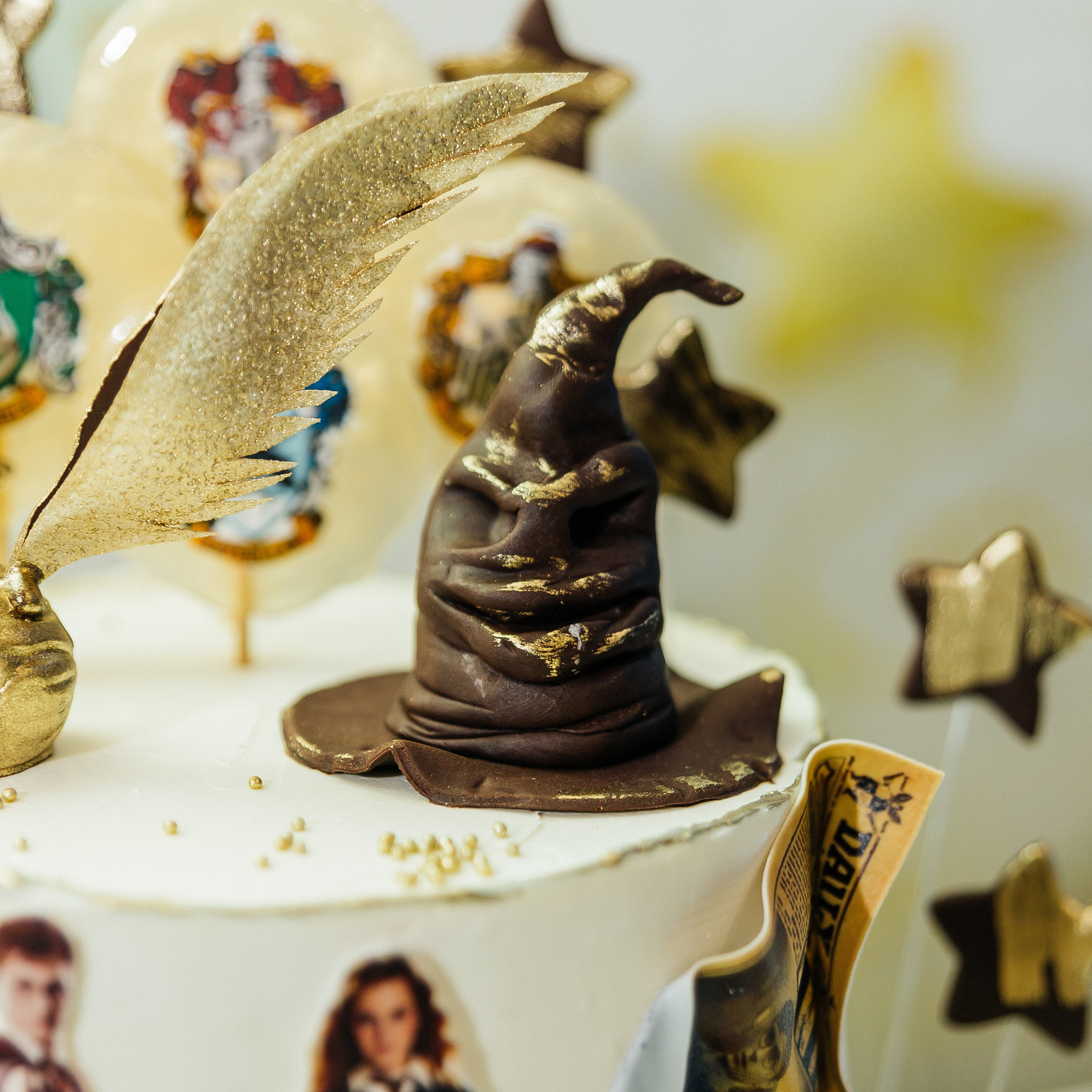 Добро пожаловать в Хогвартс. Фотограф Краснодар