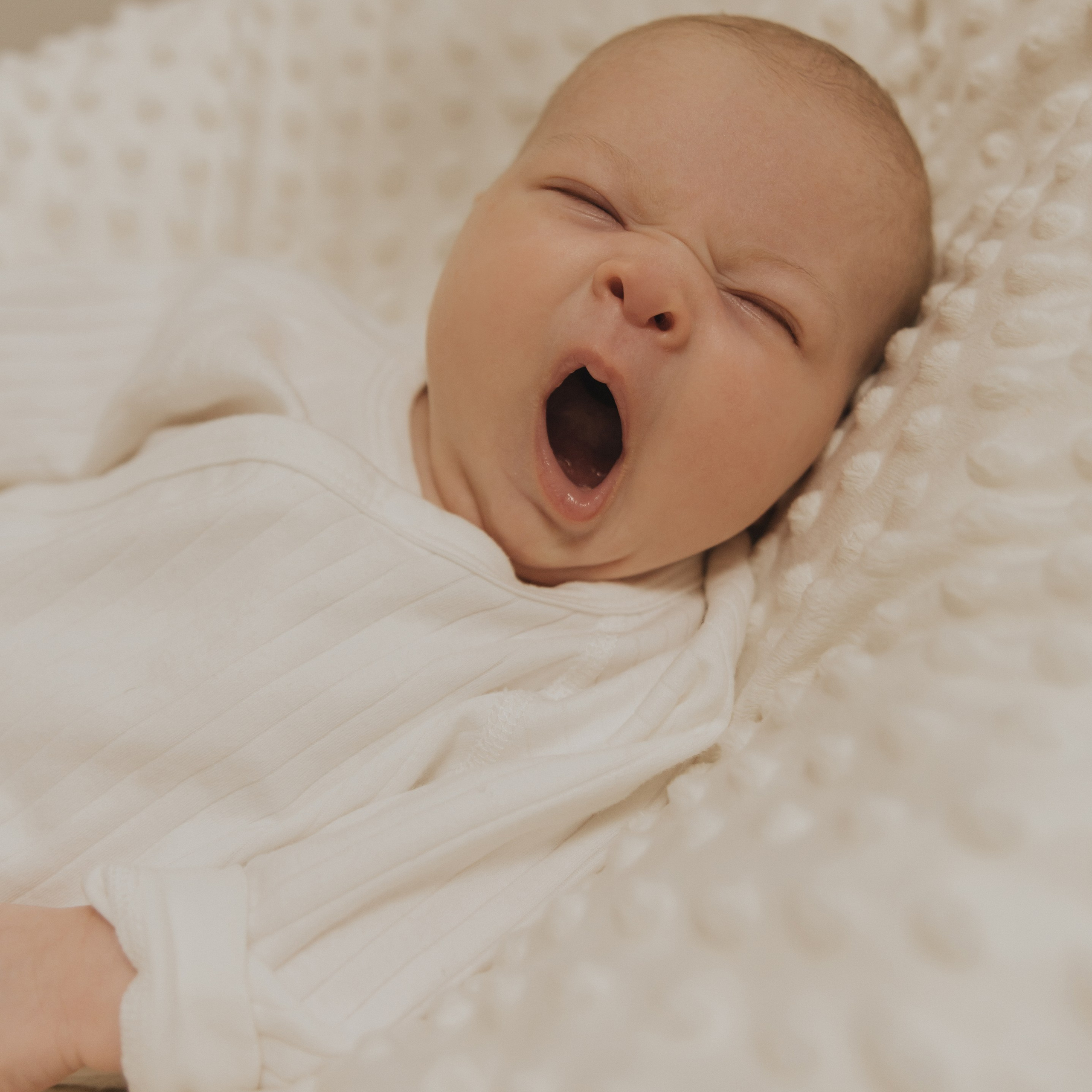 Младенцы (домашние фотосессии). Фотограф Краснодар