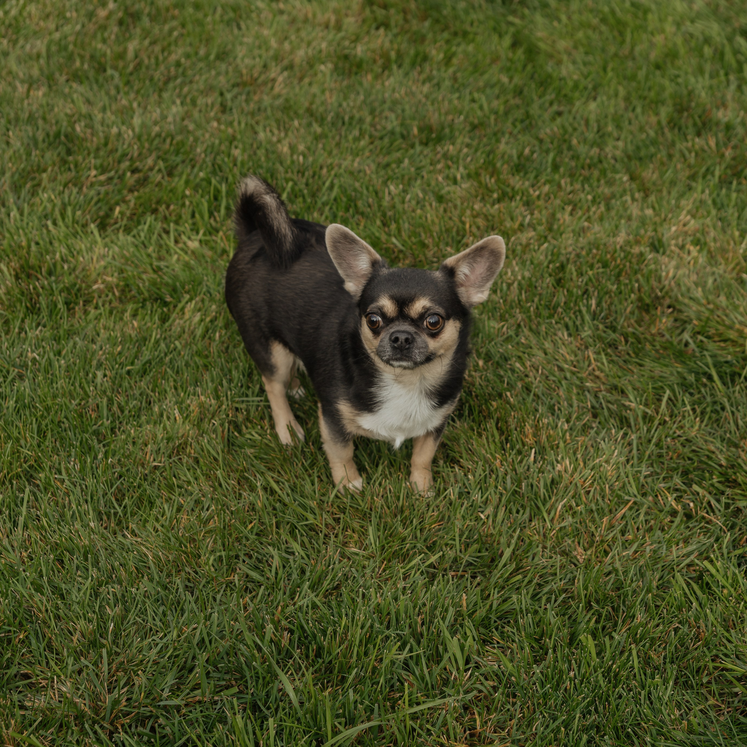 Александр и Александра (прогулка). Фотограф Краснодар