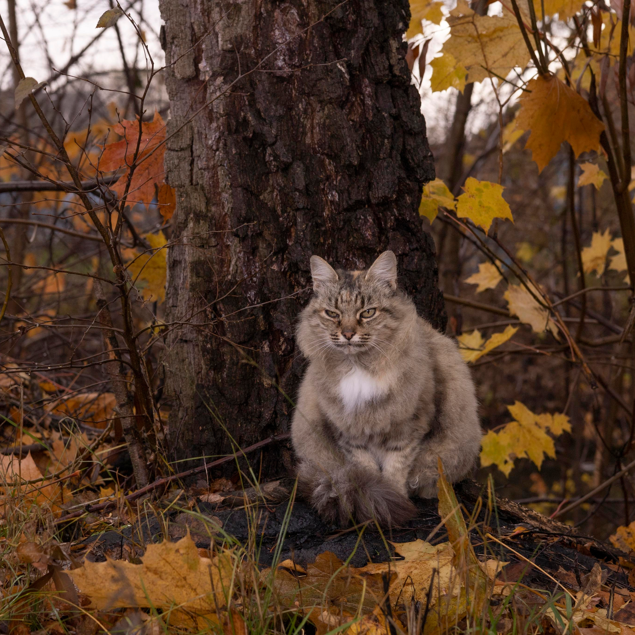 Отзывы. Фотограф в Москве Ситдикова Анастасия