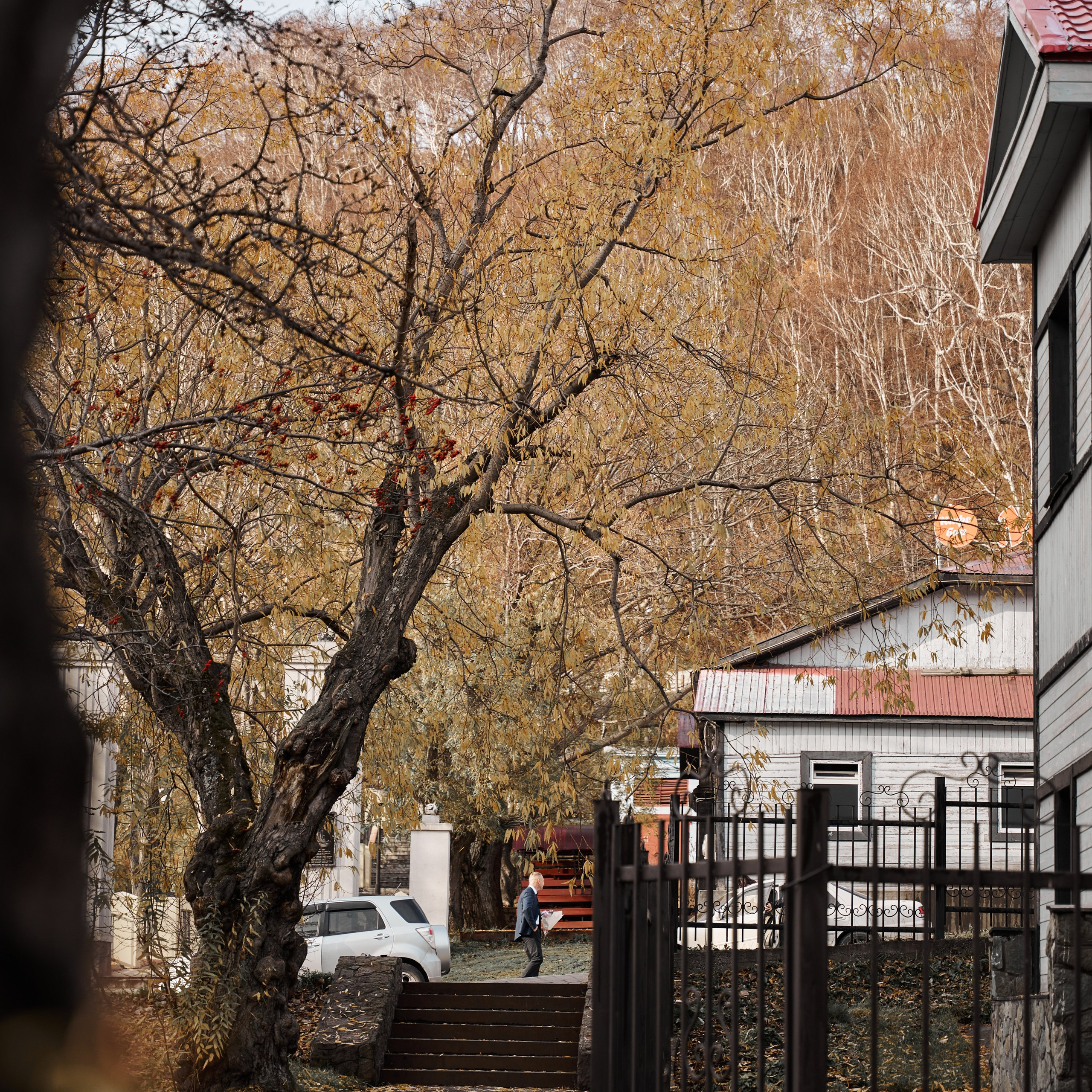 Отзывы. ФОТОГРАФ КАМЧАТКА