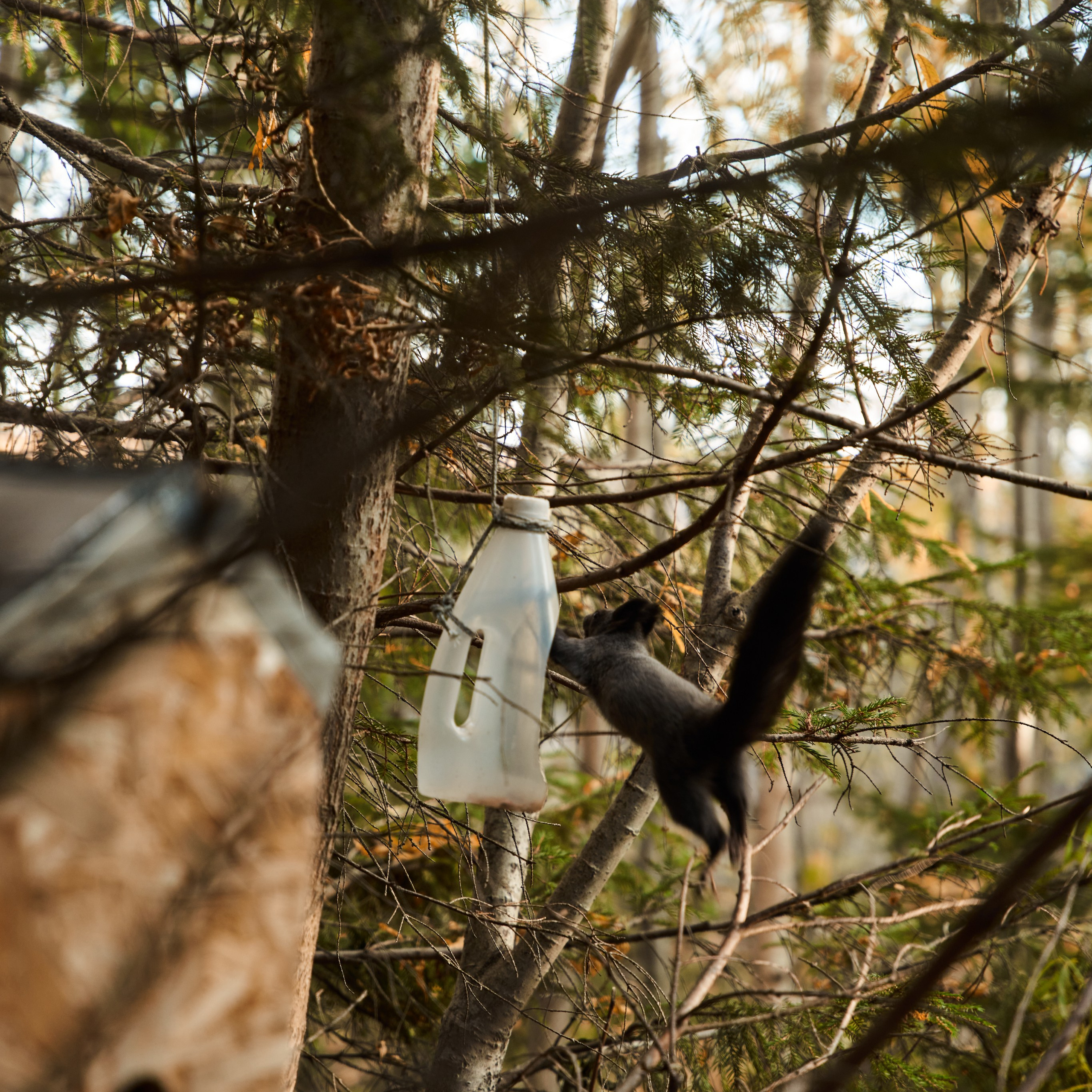 Отзывы. ФОТОГРАФ КАМЧАТКА