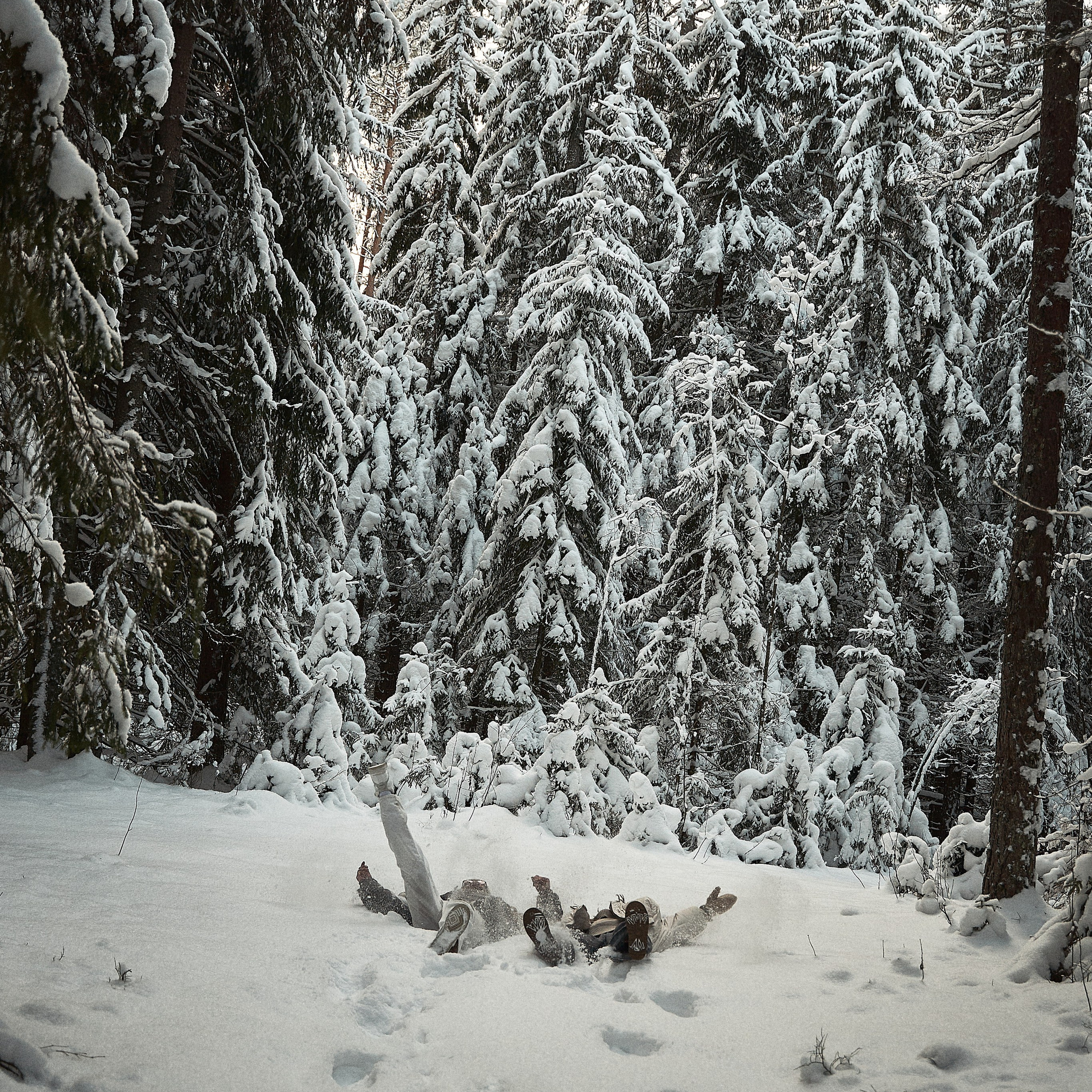 Снежная зимняя сказка