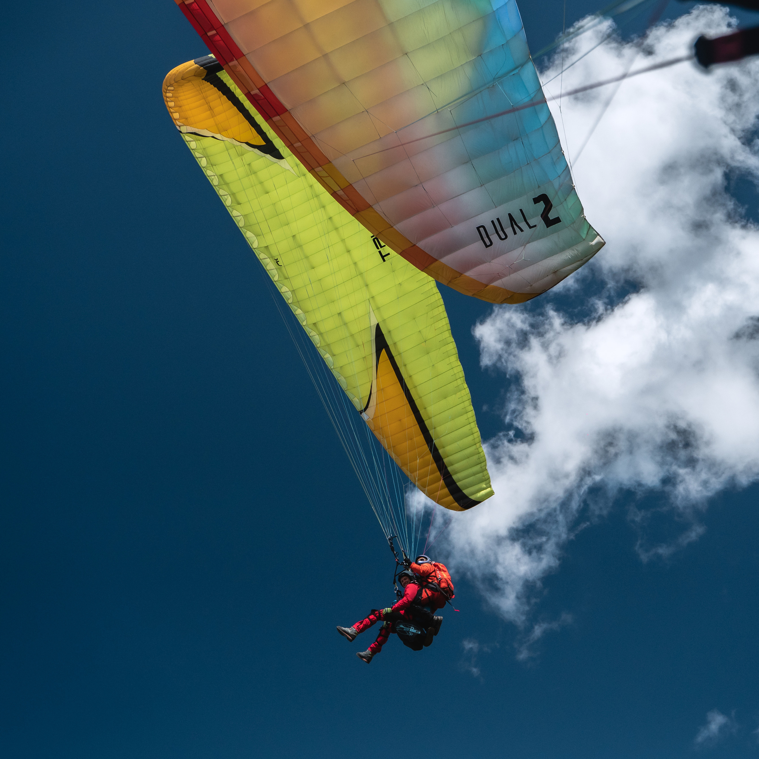 FEEDBACK. Photographer Phuket