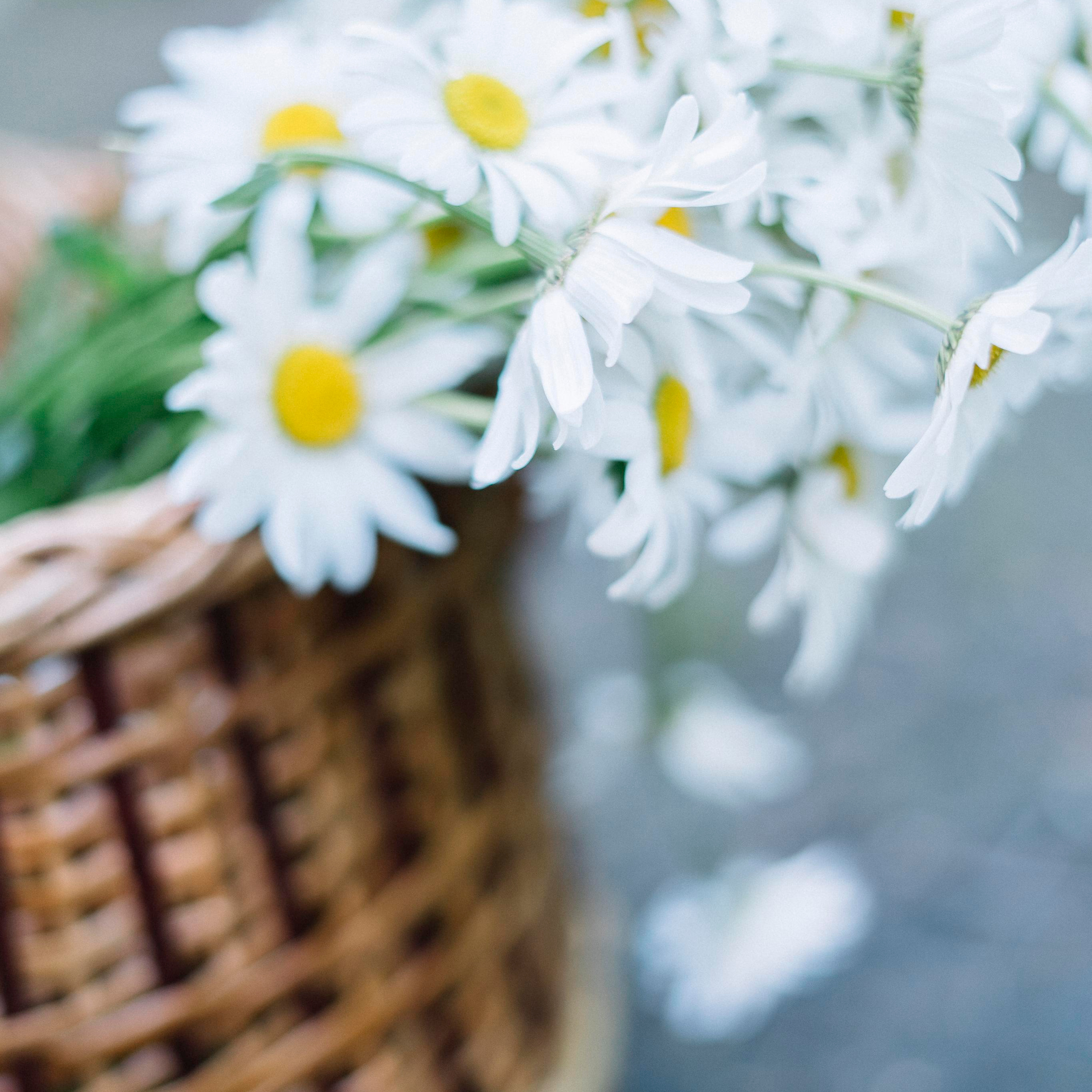 Отзывы. Топ-фотограф беременности и материнства Москва Мария Ермишкина