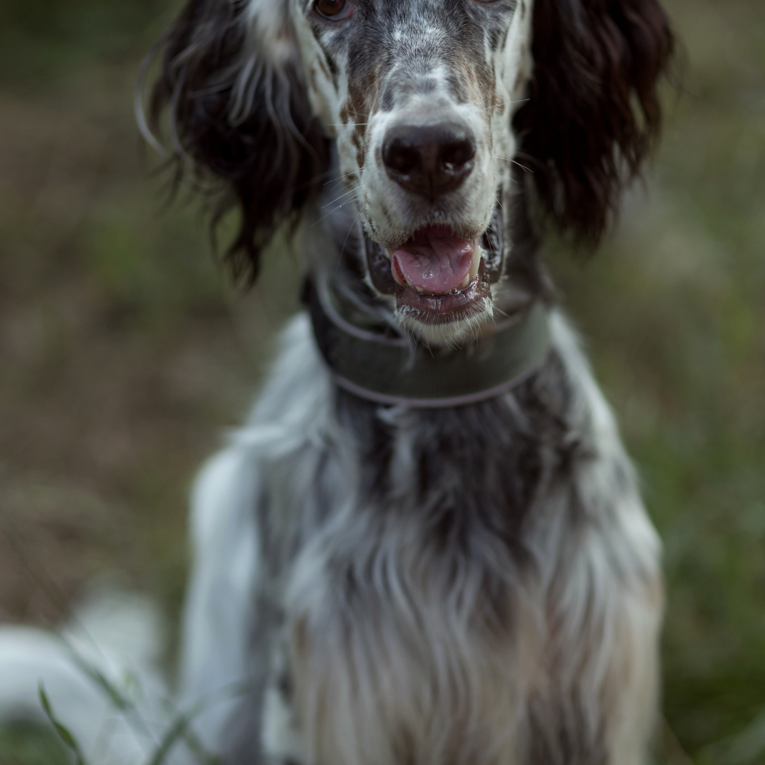 Отзывы. Рисую светом вашу семейную историю фотограф из Перми Александра Камене