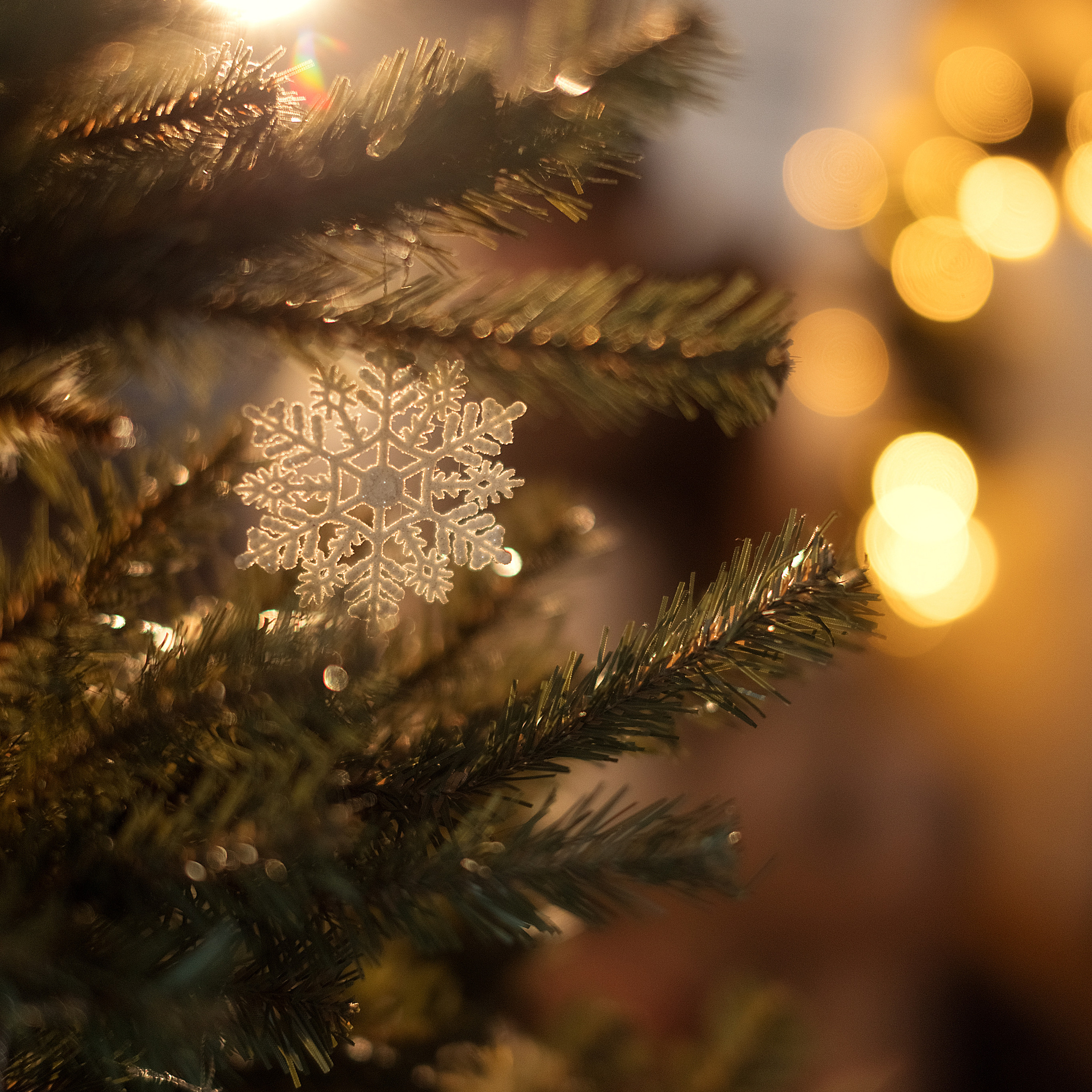 Домашние новогодние