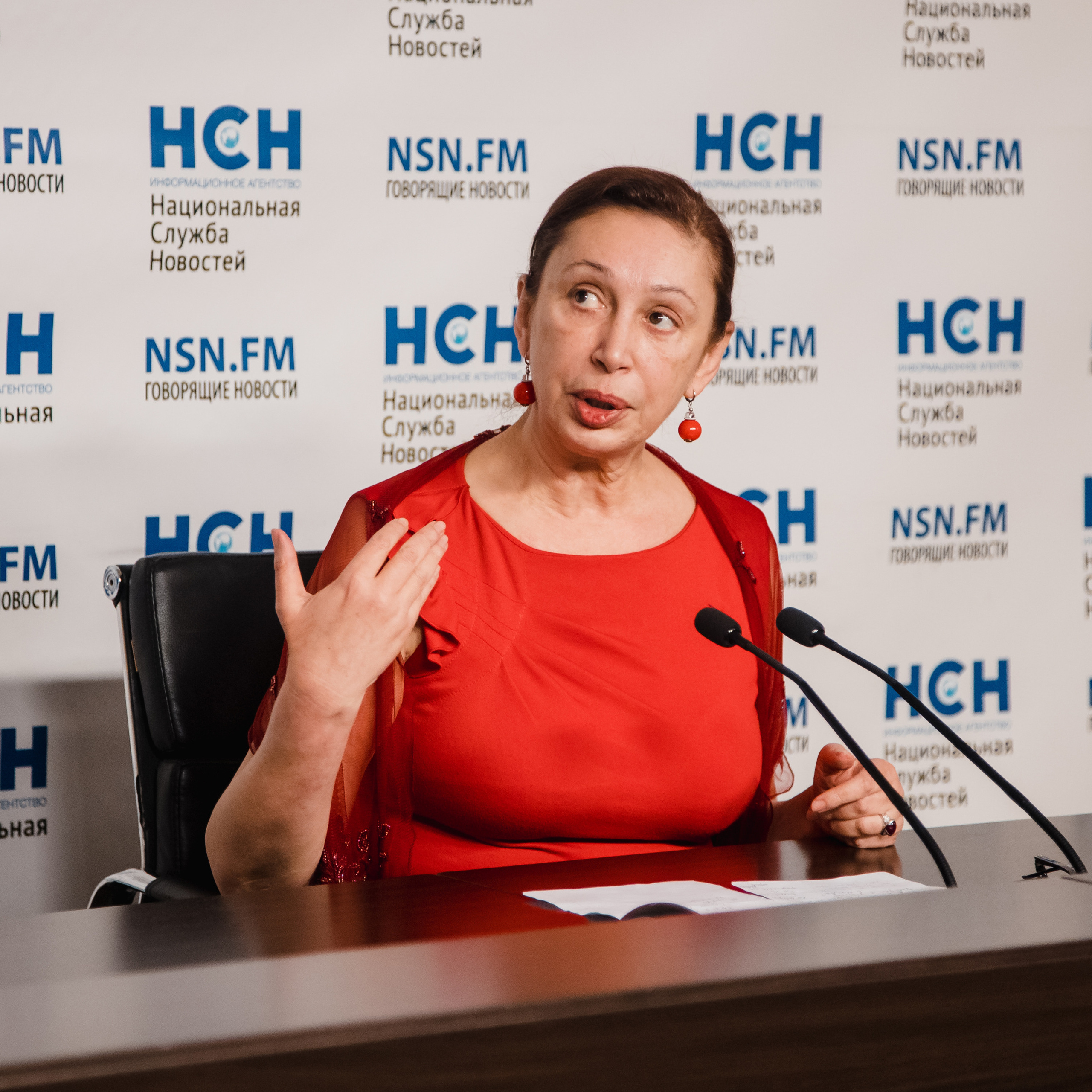 Пресс-конференция в НСН (Илона Давыдова)