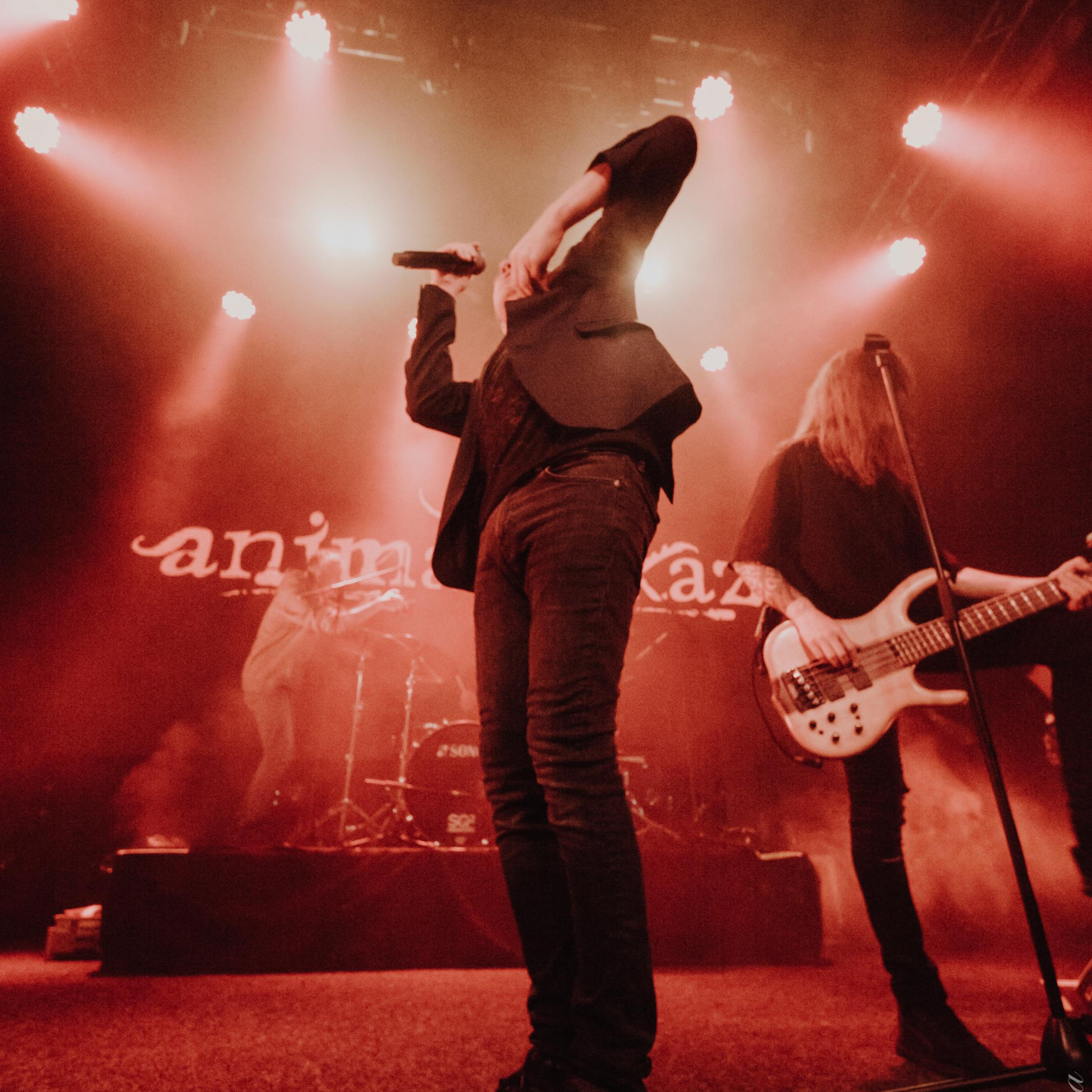 Animal ДжаZ, Урбан