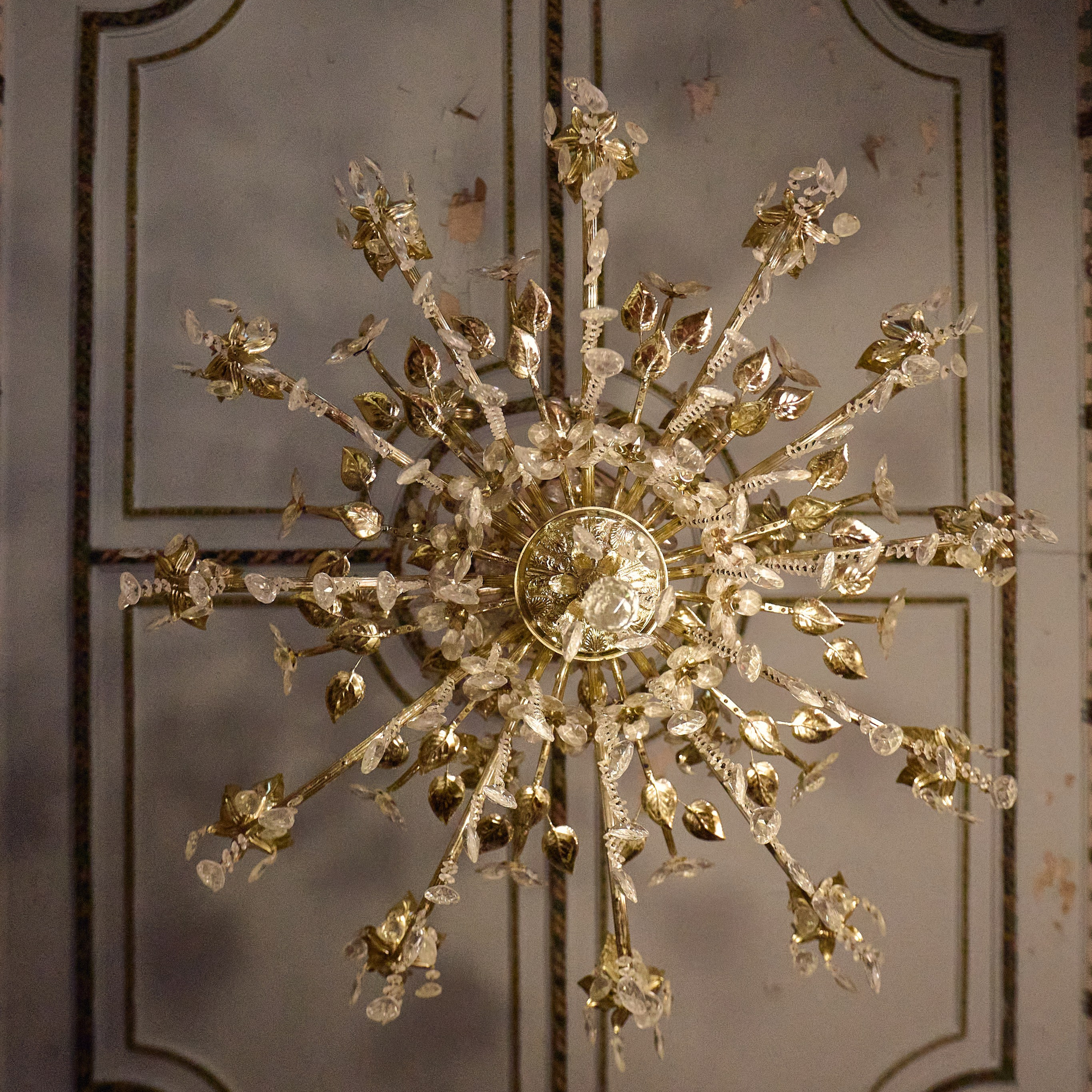 фотостудия «Птичка»