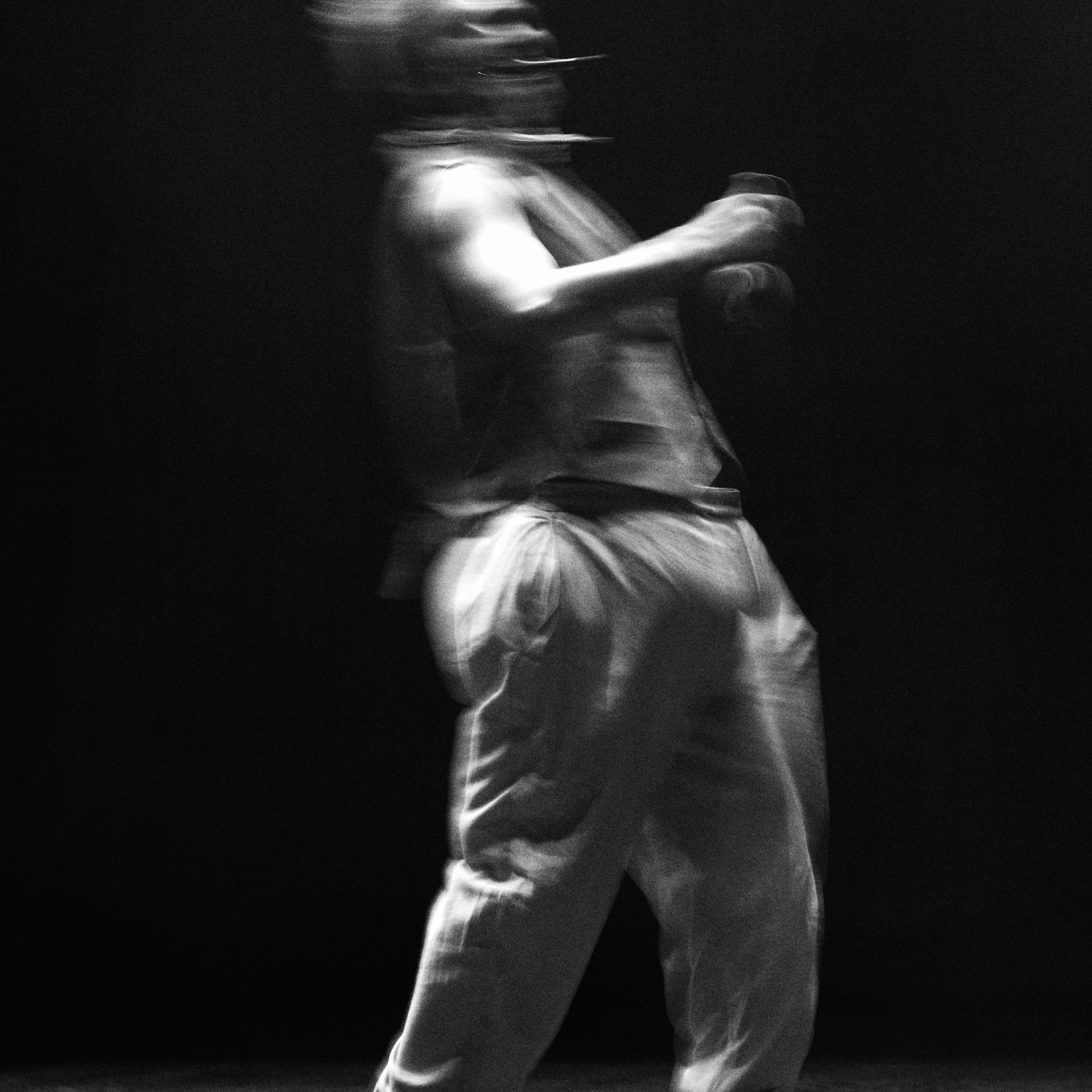 Чайка — черно-белое