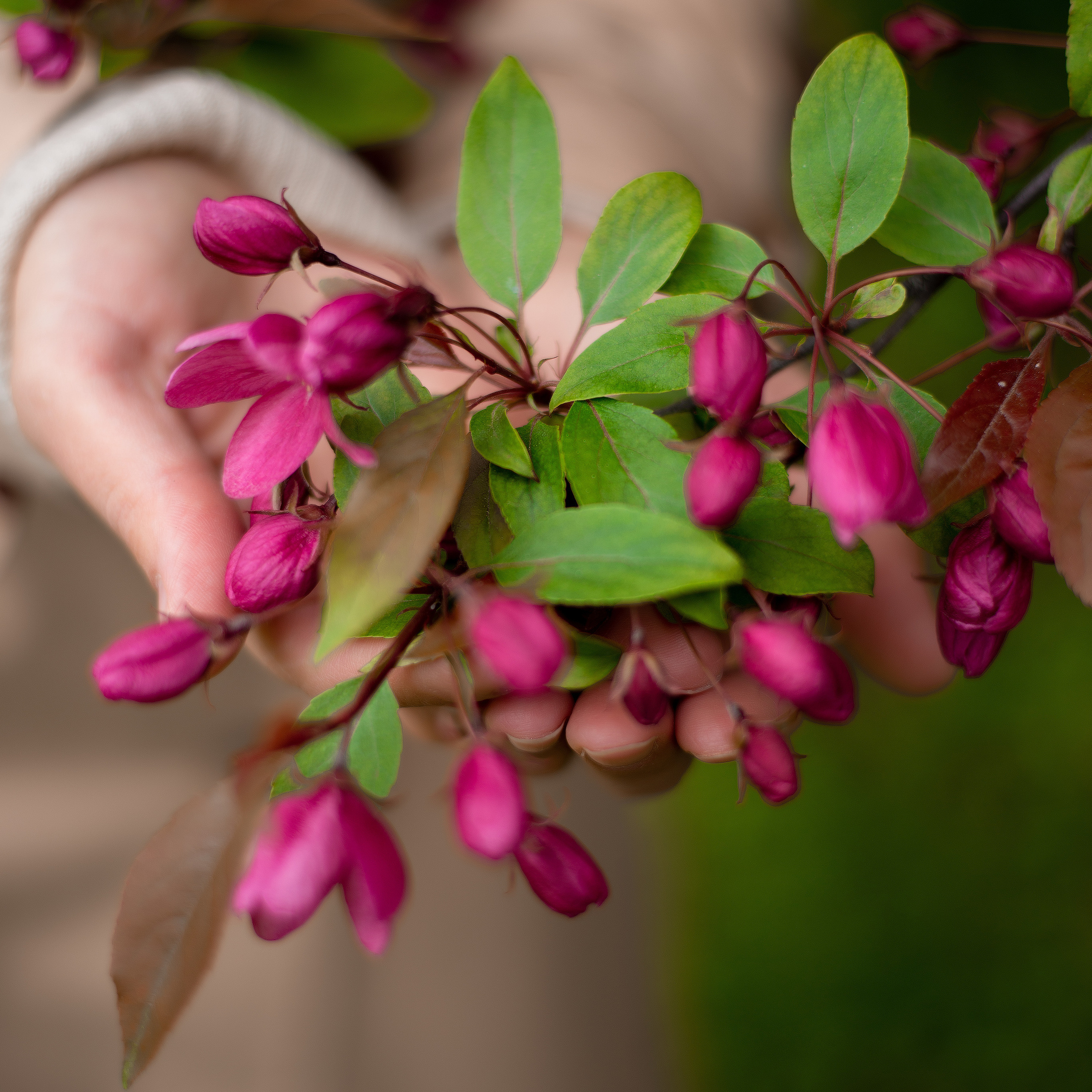 Kate Bykova. Фотограф • Фототерапевт г. Москва