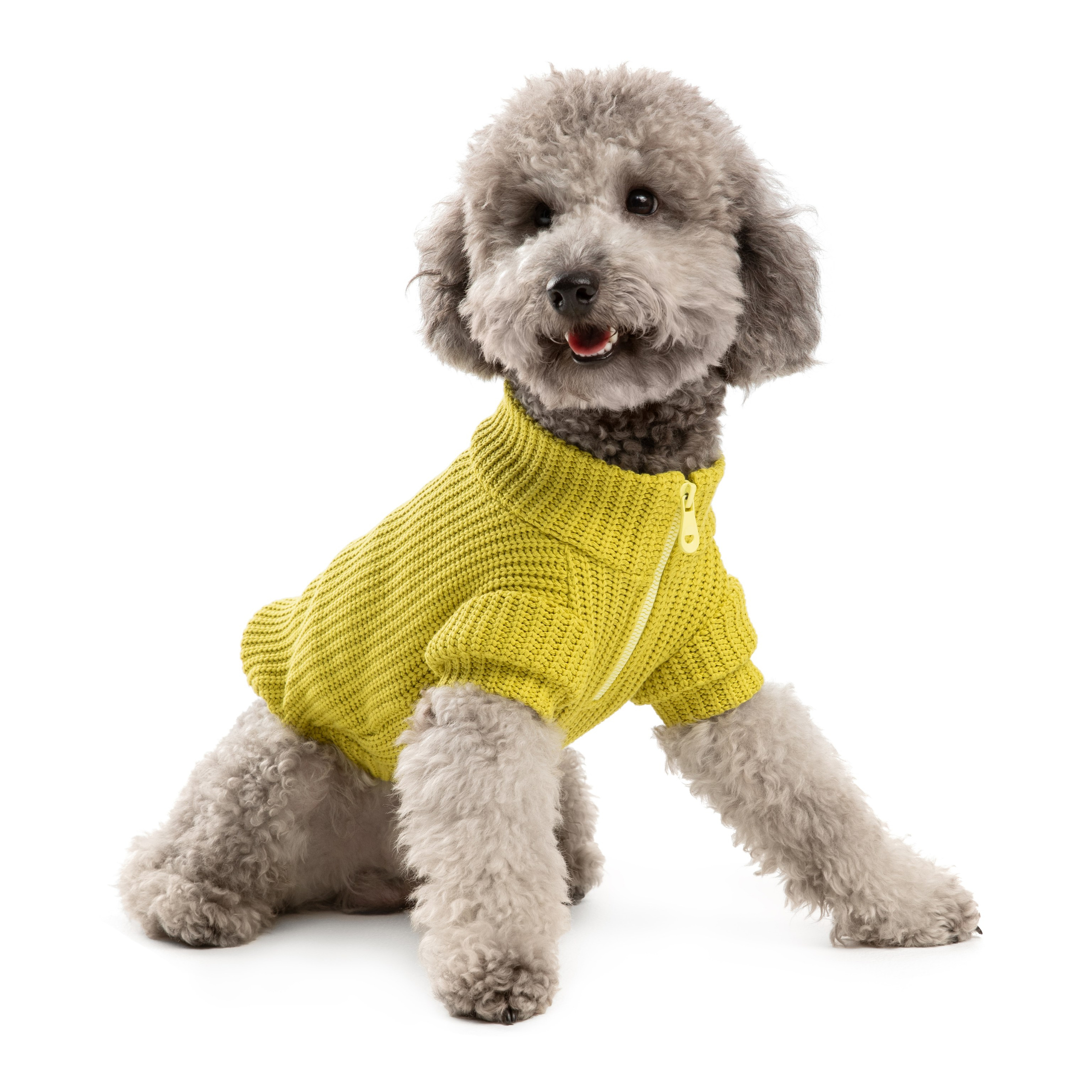 Одежда для собак Pet Subject