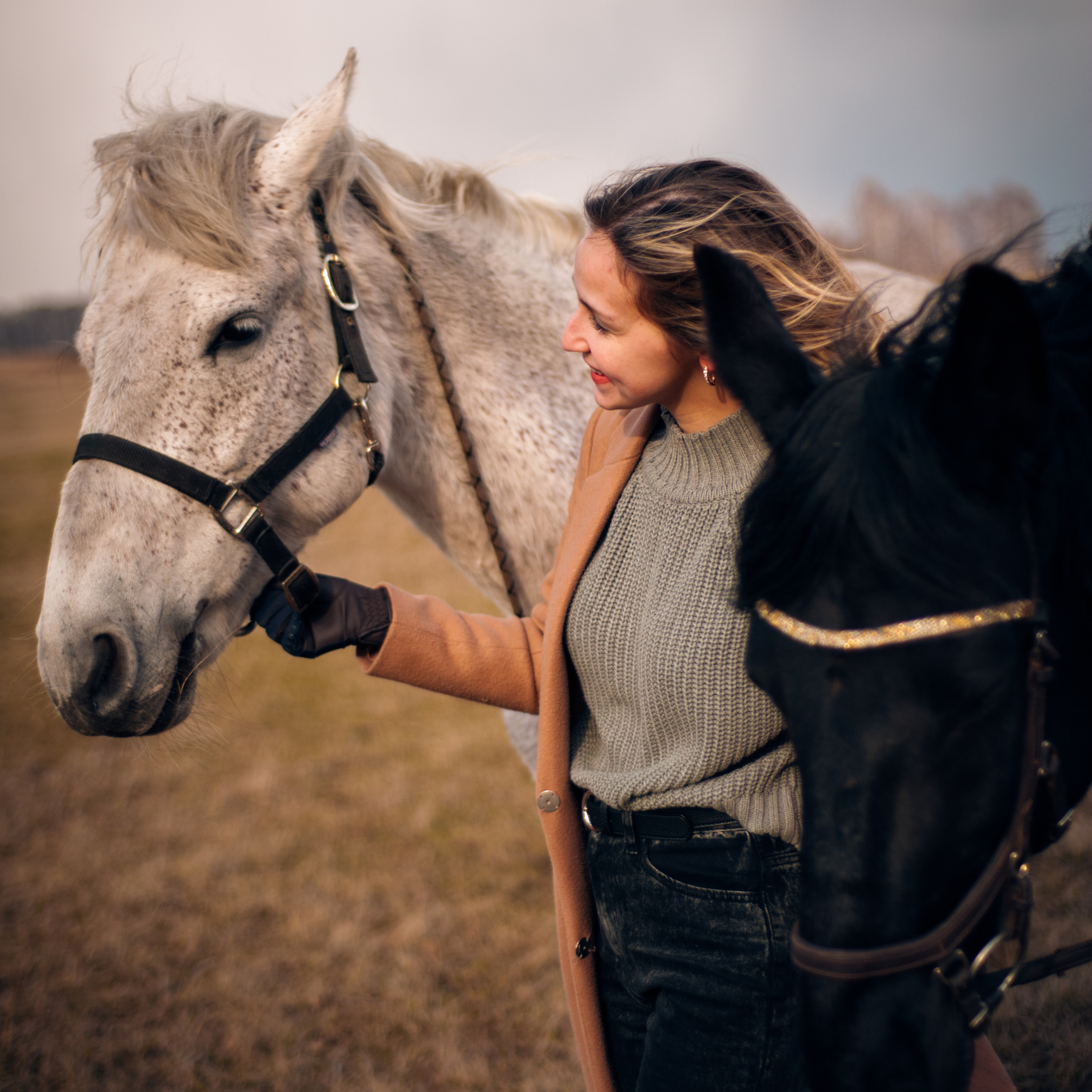 Алёна с лошадками