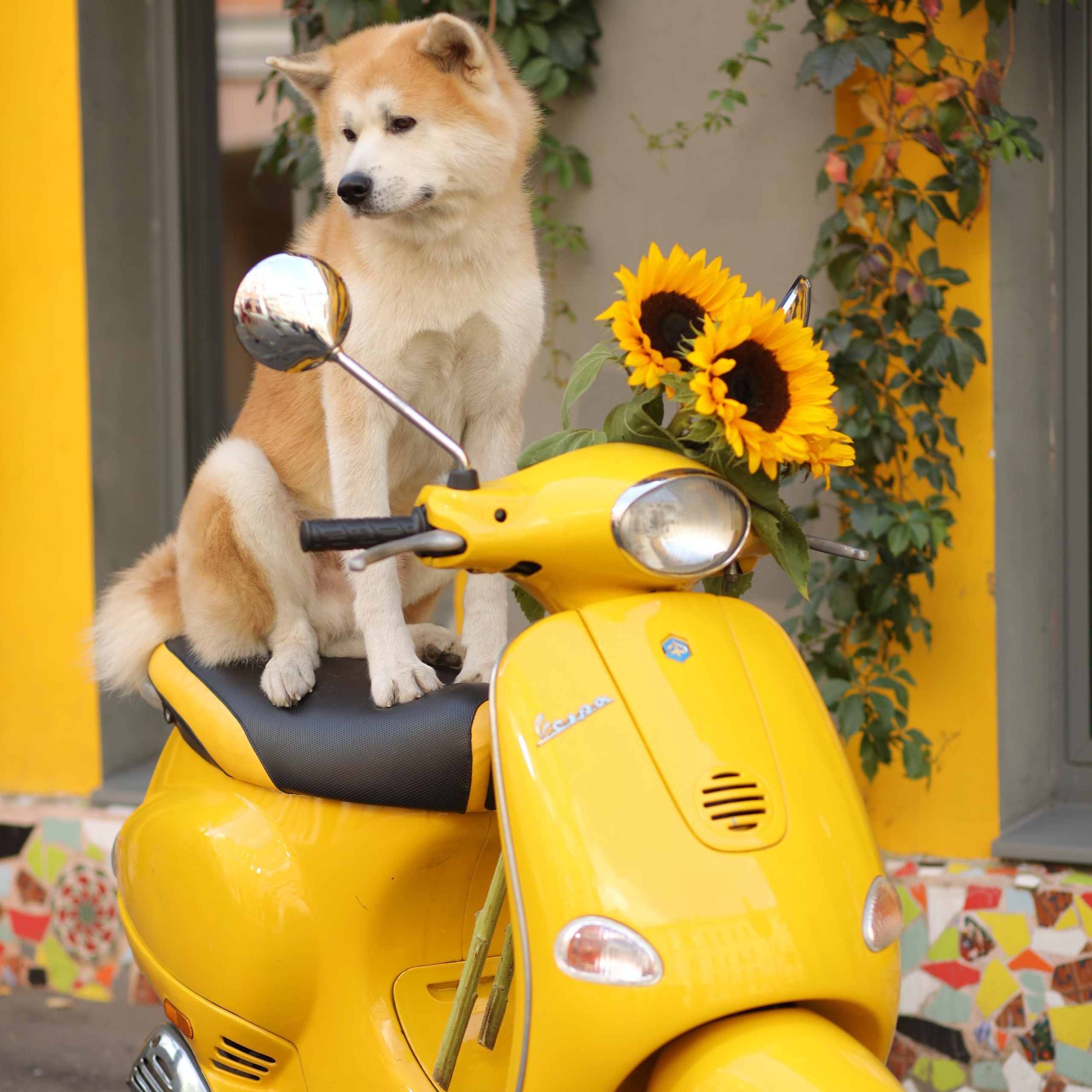 Отзывы. Путешествуем вместе